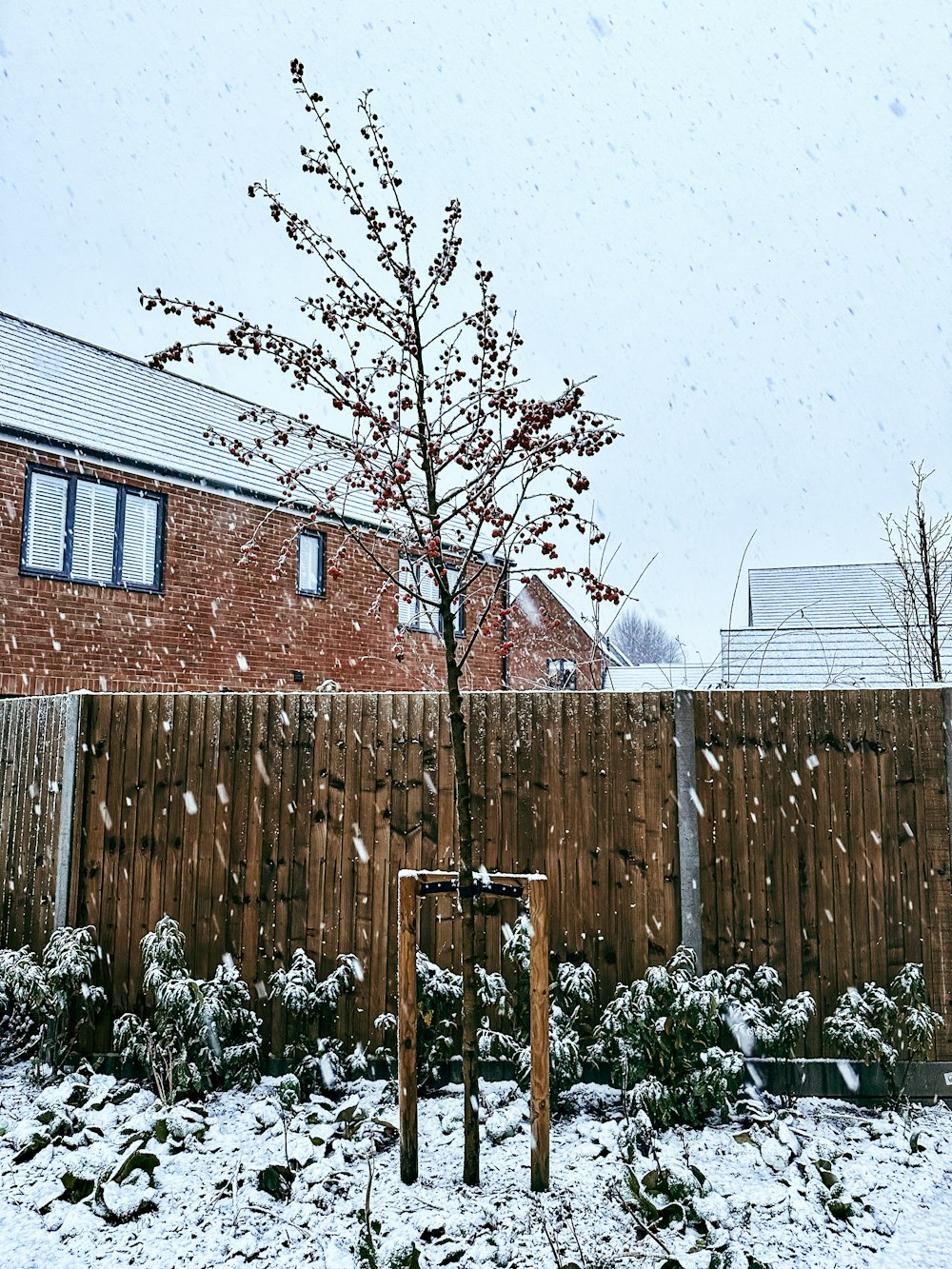 a snow covered yard with a tree and fence