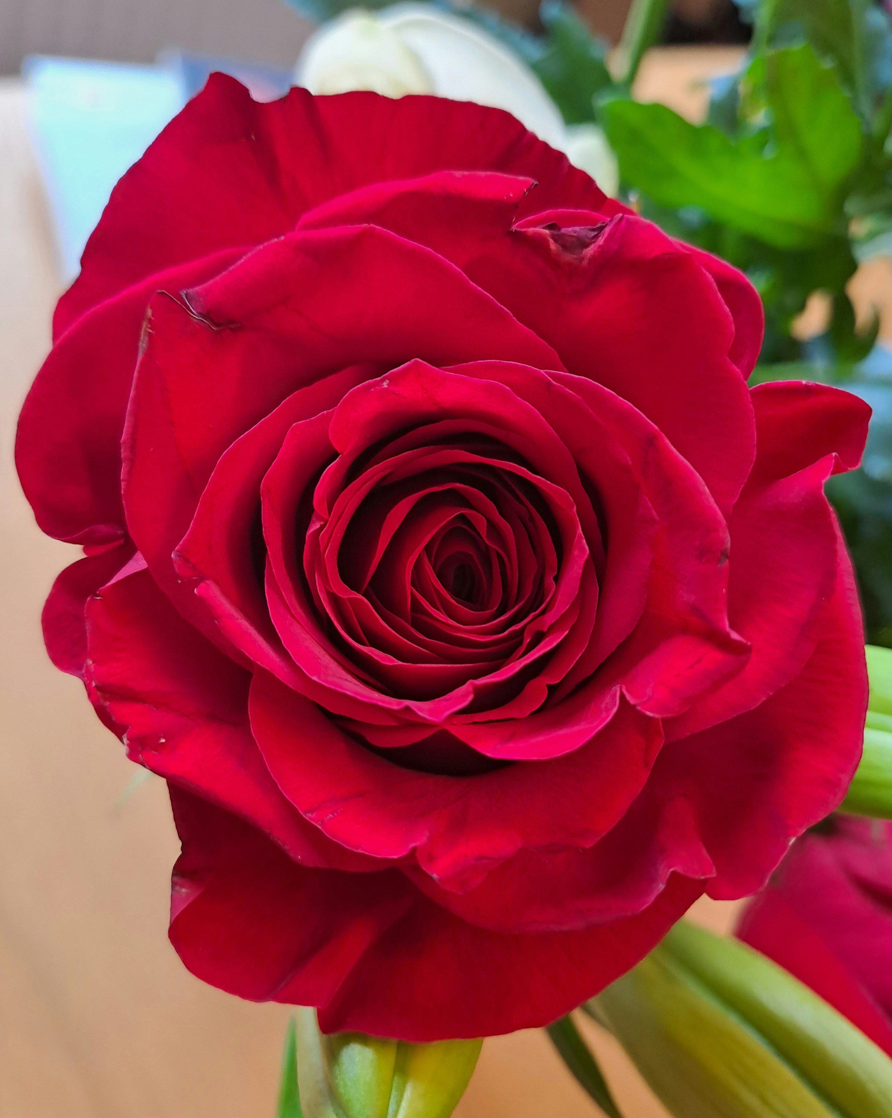 Photo by kikiacro11