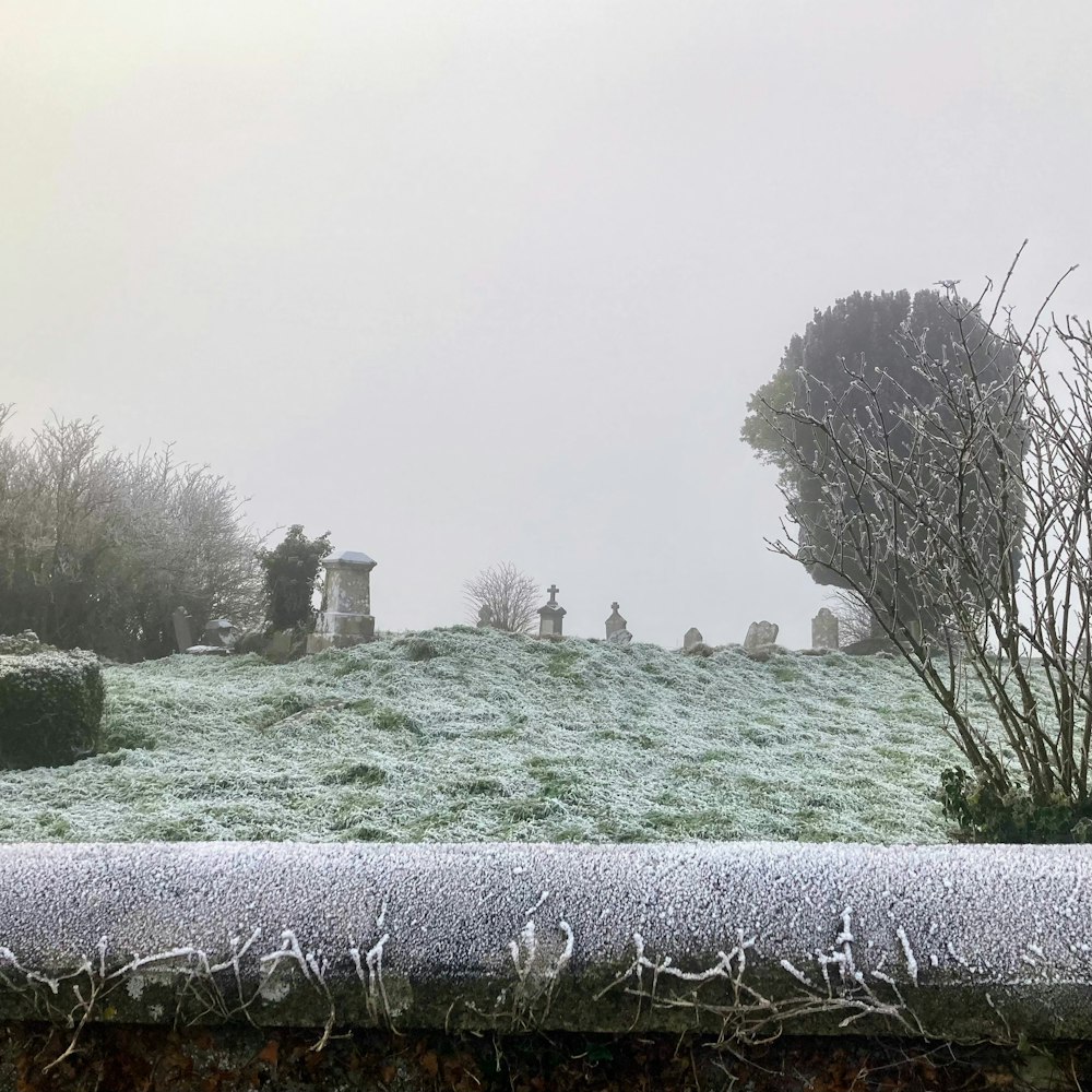 a frosty field with a few trees on top of it