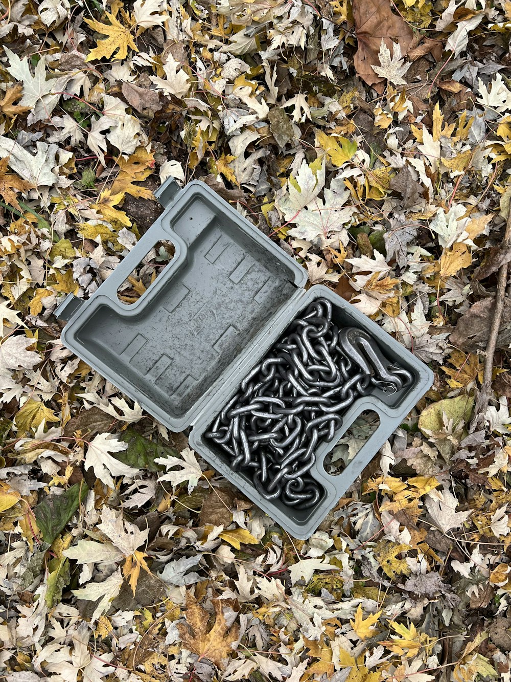 a plastic container filled with chains on top of a pile of leaves