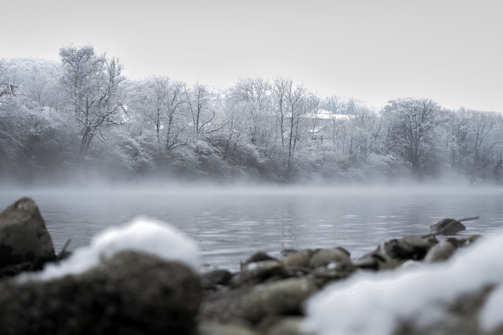 a body of water surrounded by snow covered trees