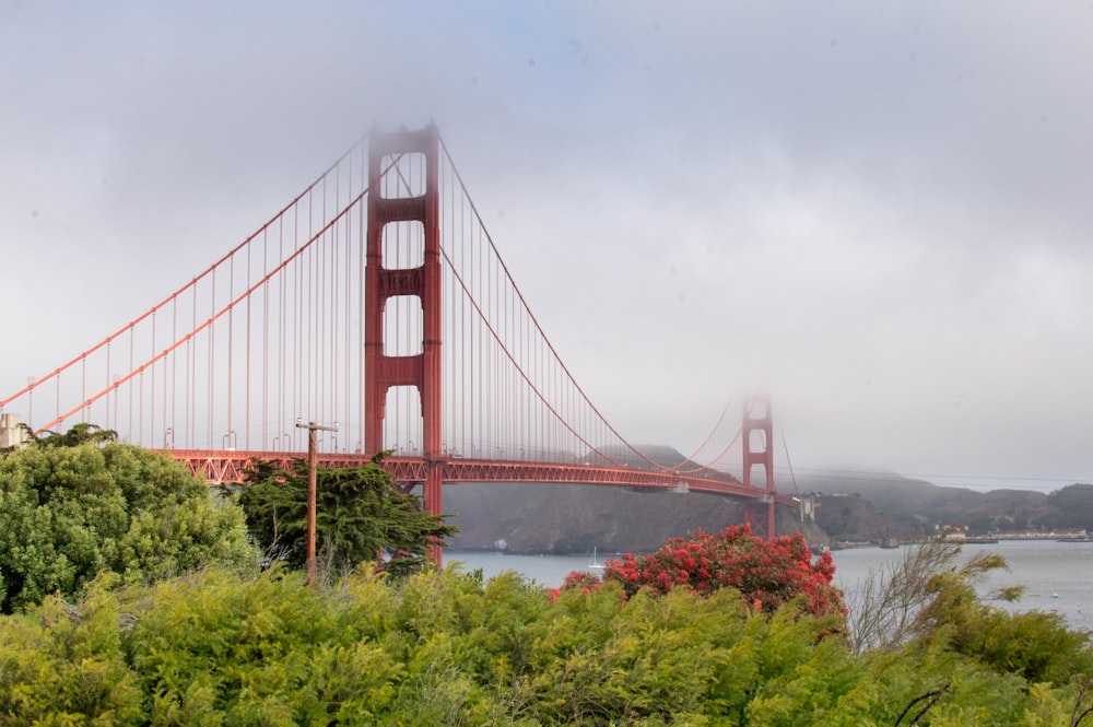 a view of the golden gate bridge on a foggy day