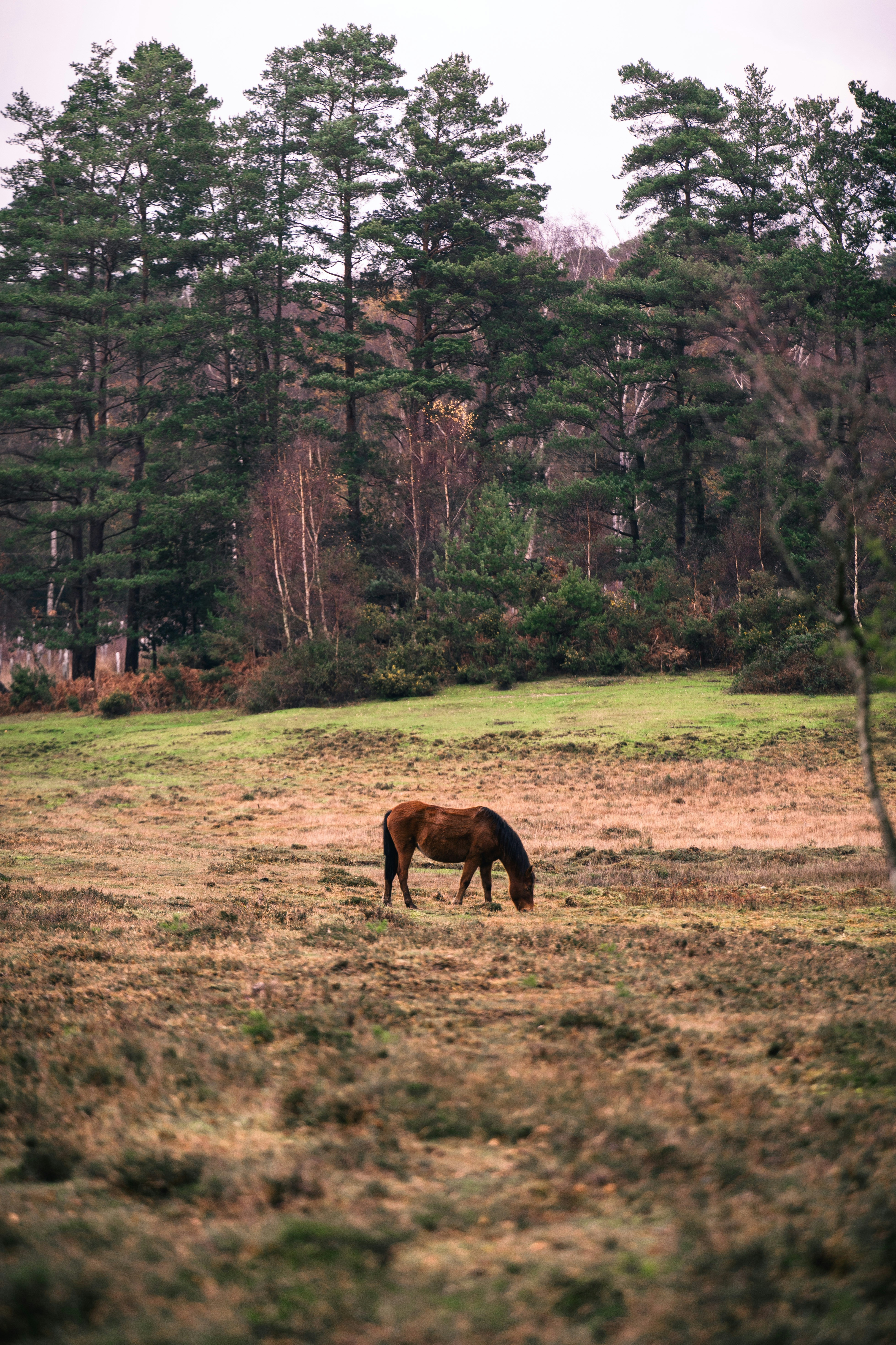 Photo by alken