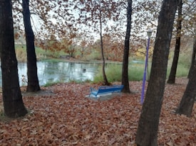 A serene autumn scene with a grove of tall trees covered in brown leaves. A blue bench sits among the fallen leaves, near a narrow path. A lamp post stands nearby, and a calm river flows in the background, bordered by lush grass.