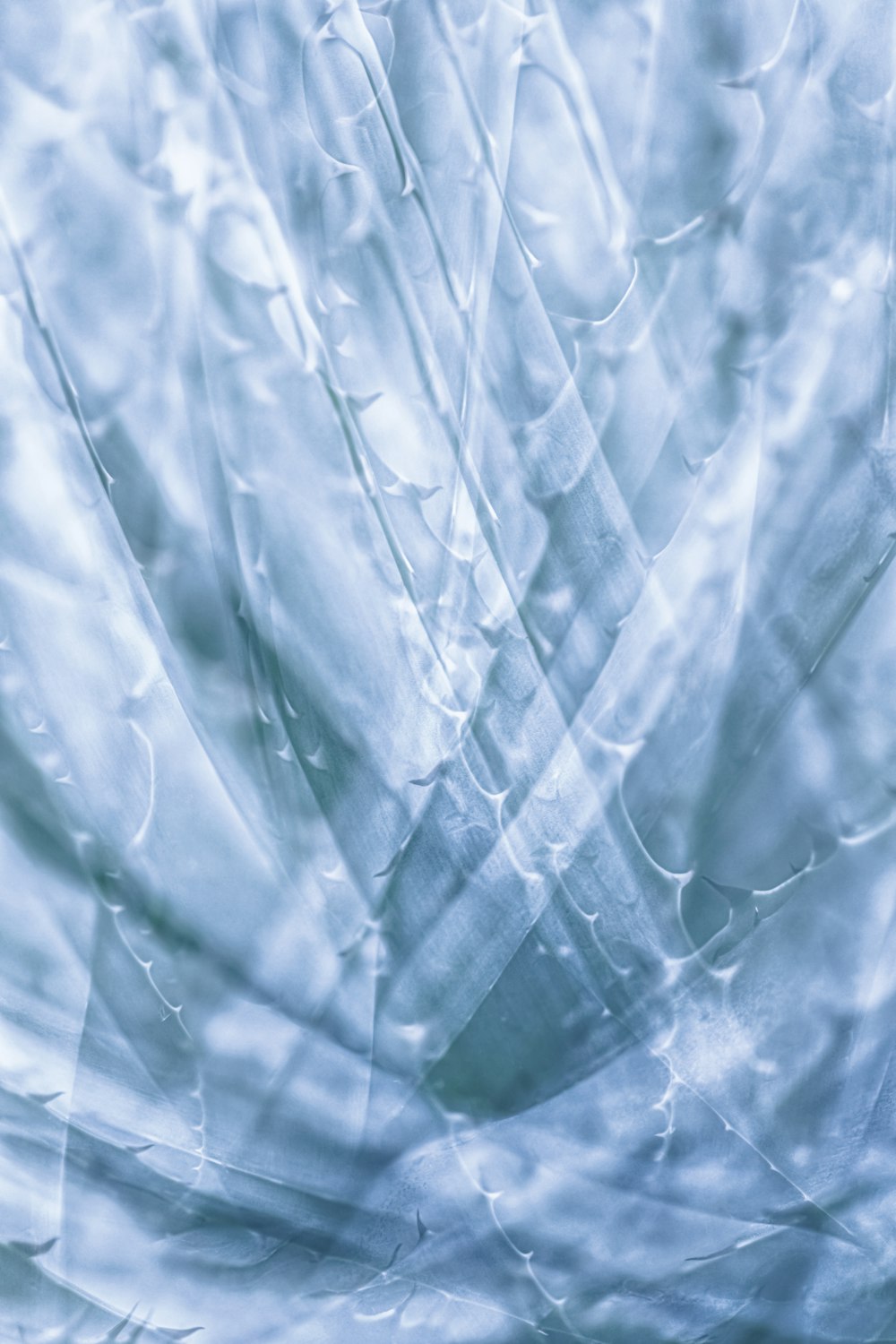 a close up of water droplets on a leaf