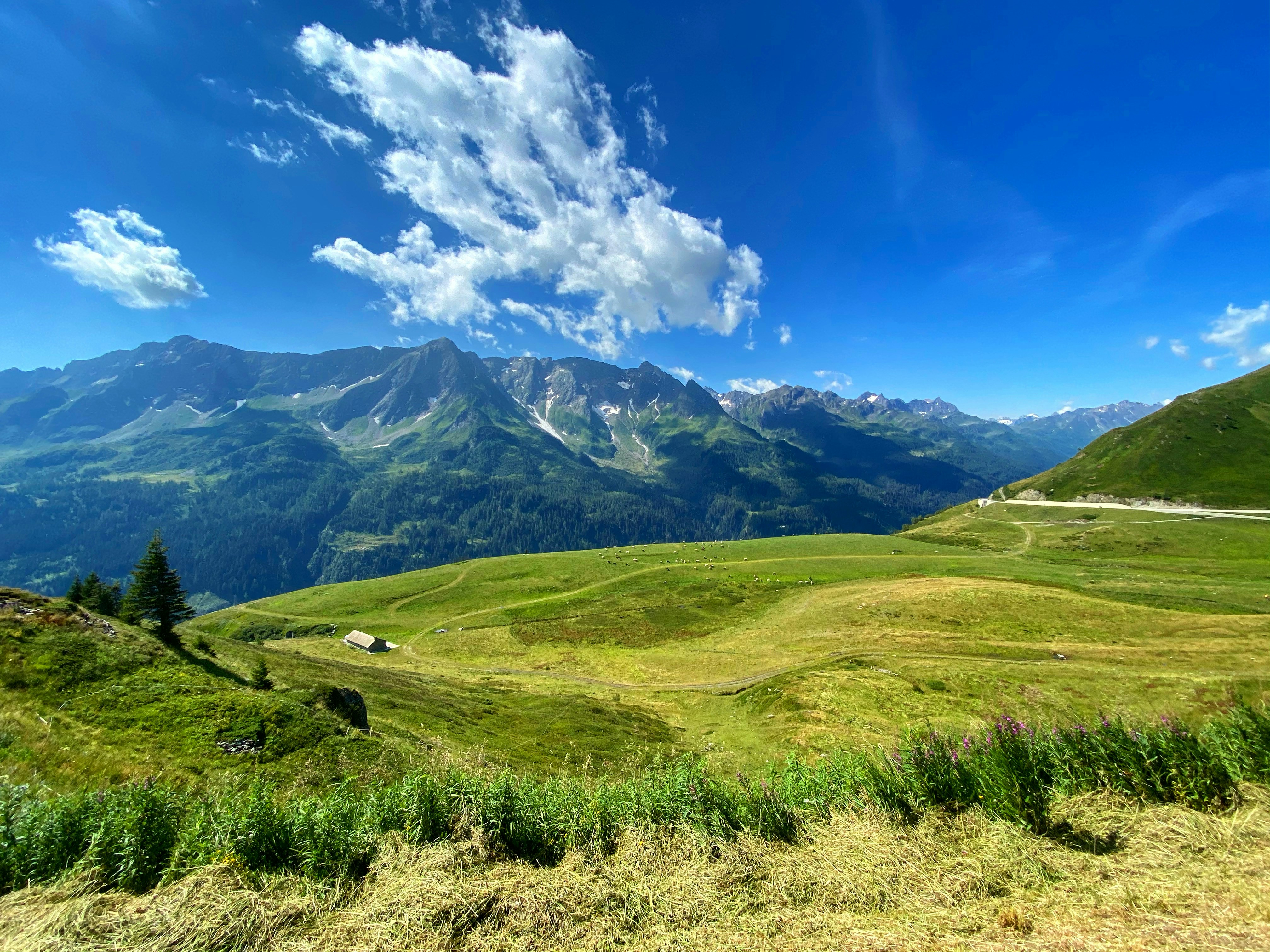 Photo by nairaseraphin