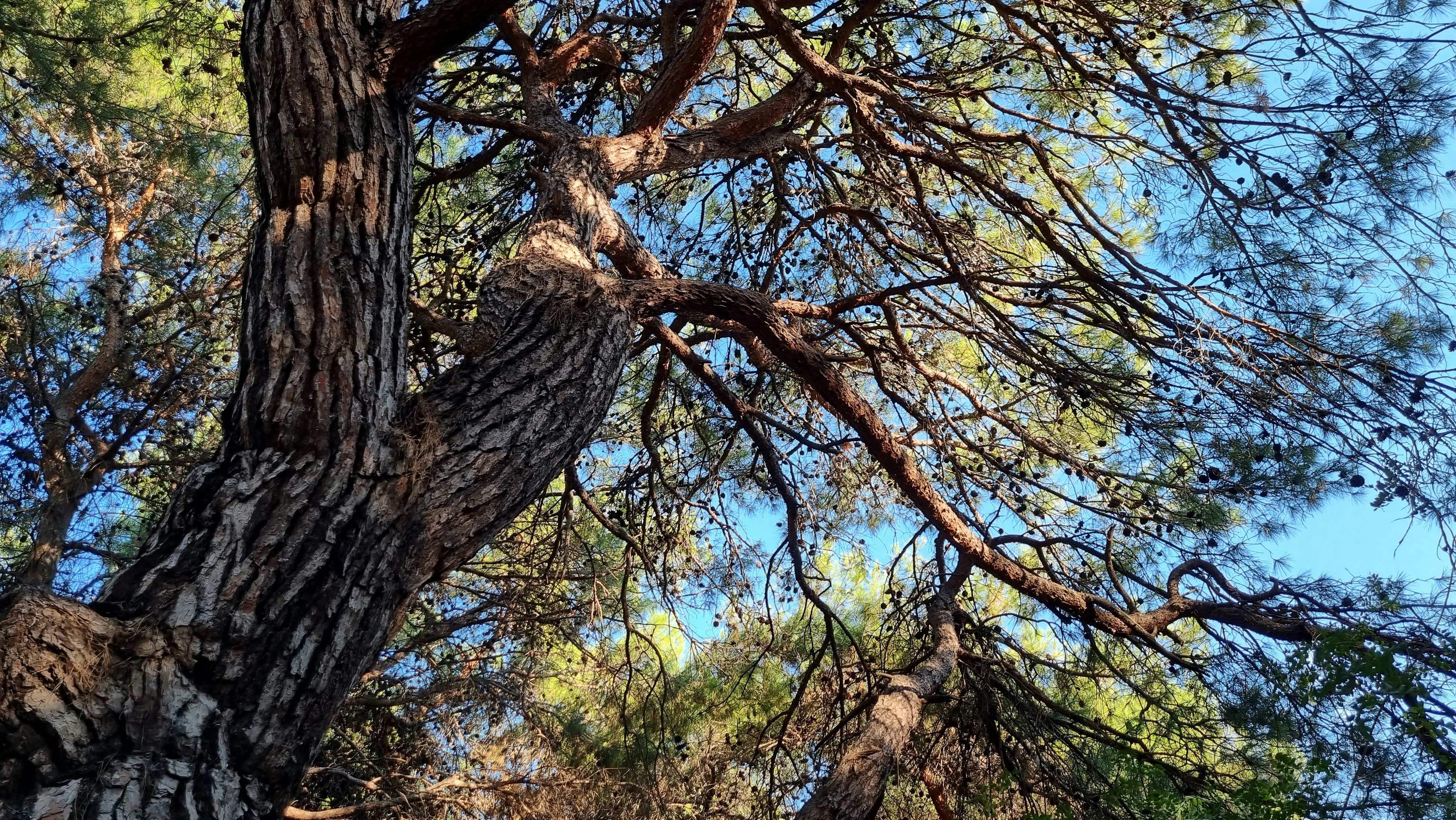 Photo by banafsheh40