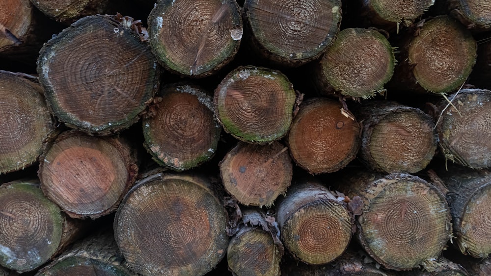 a pile of cut logs stacked on top of each other