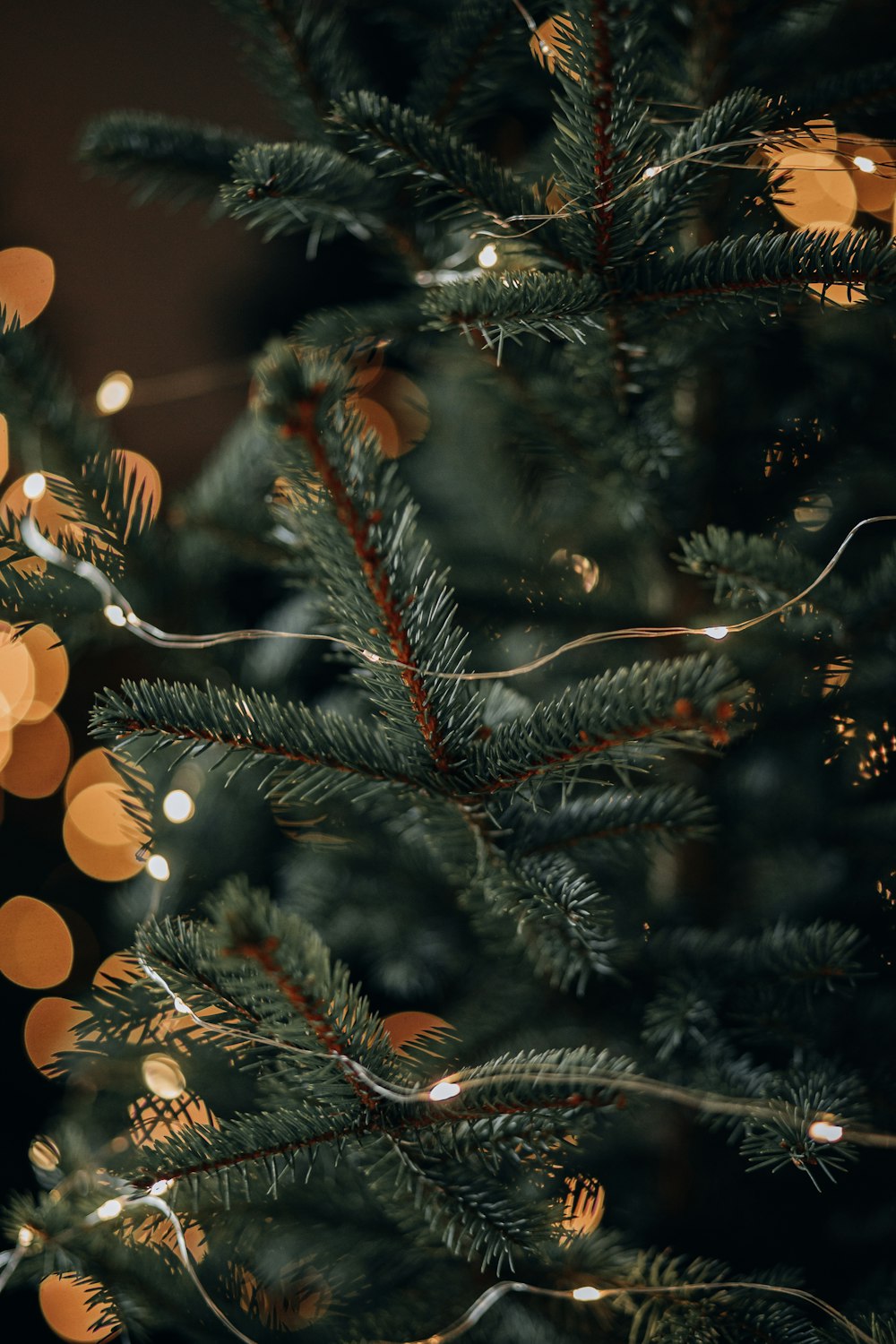 a close up of a christmas tree with lights