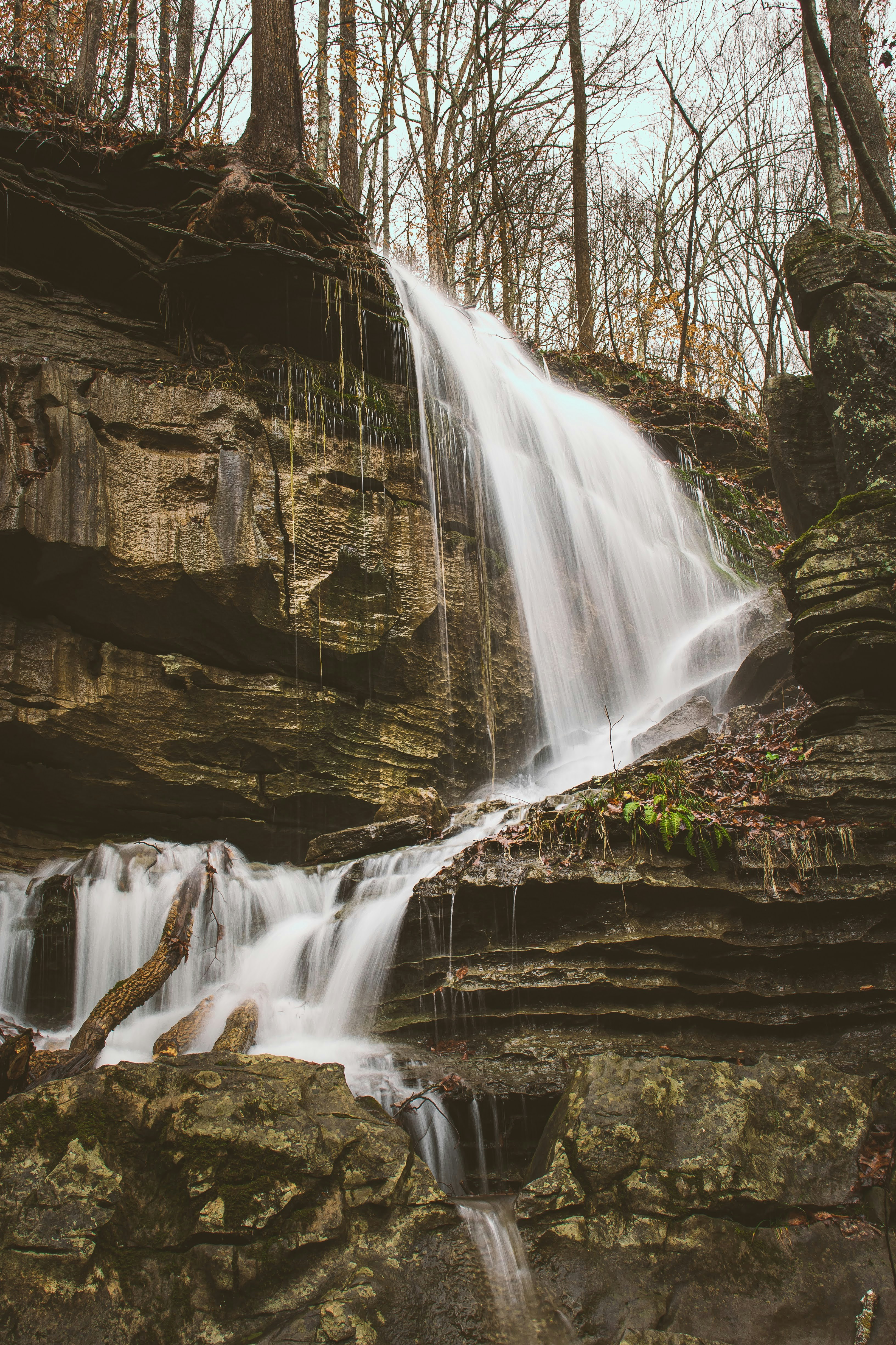 Photo by brice_cooper18