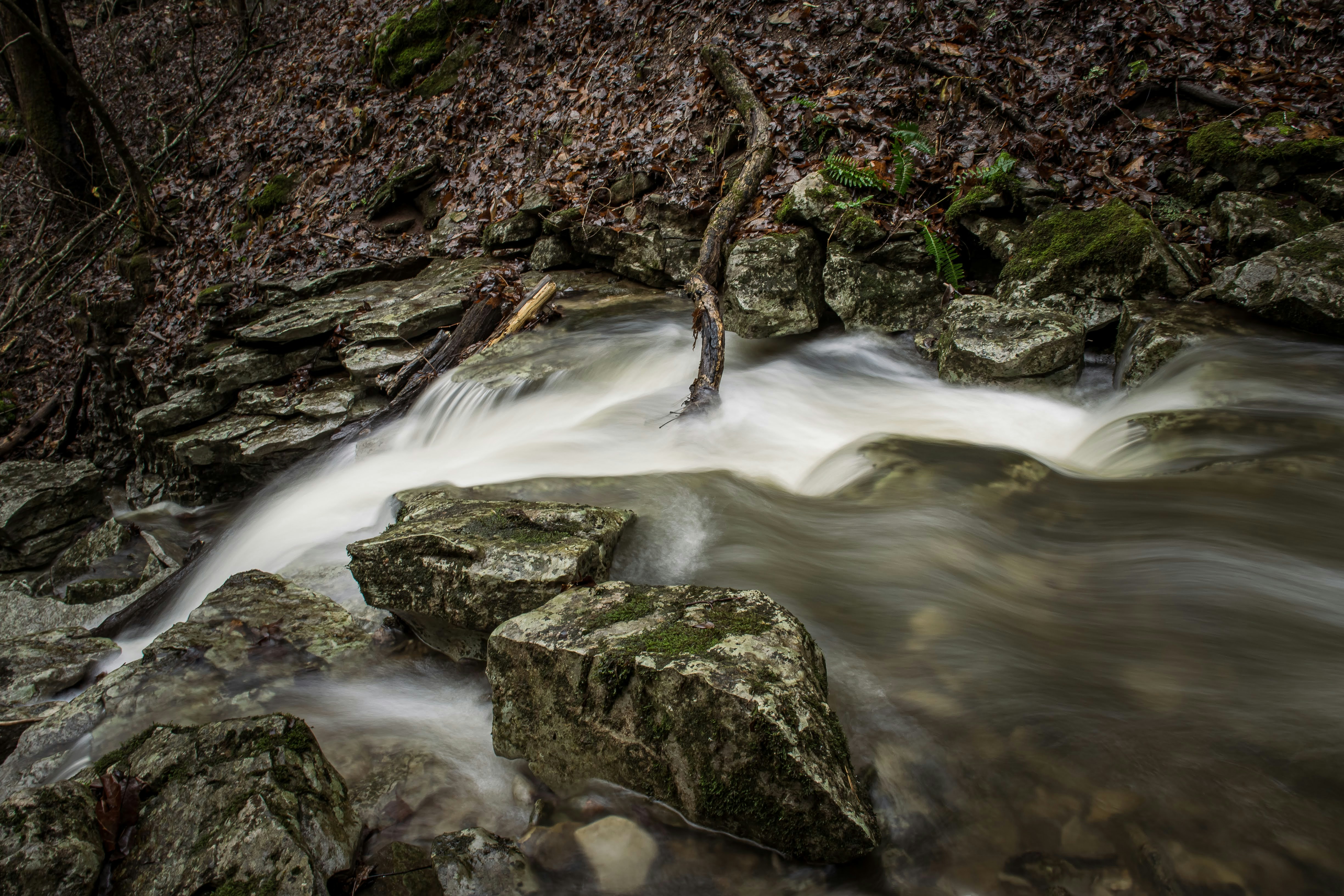 Photo by brice_cooper18