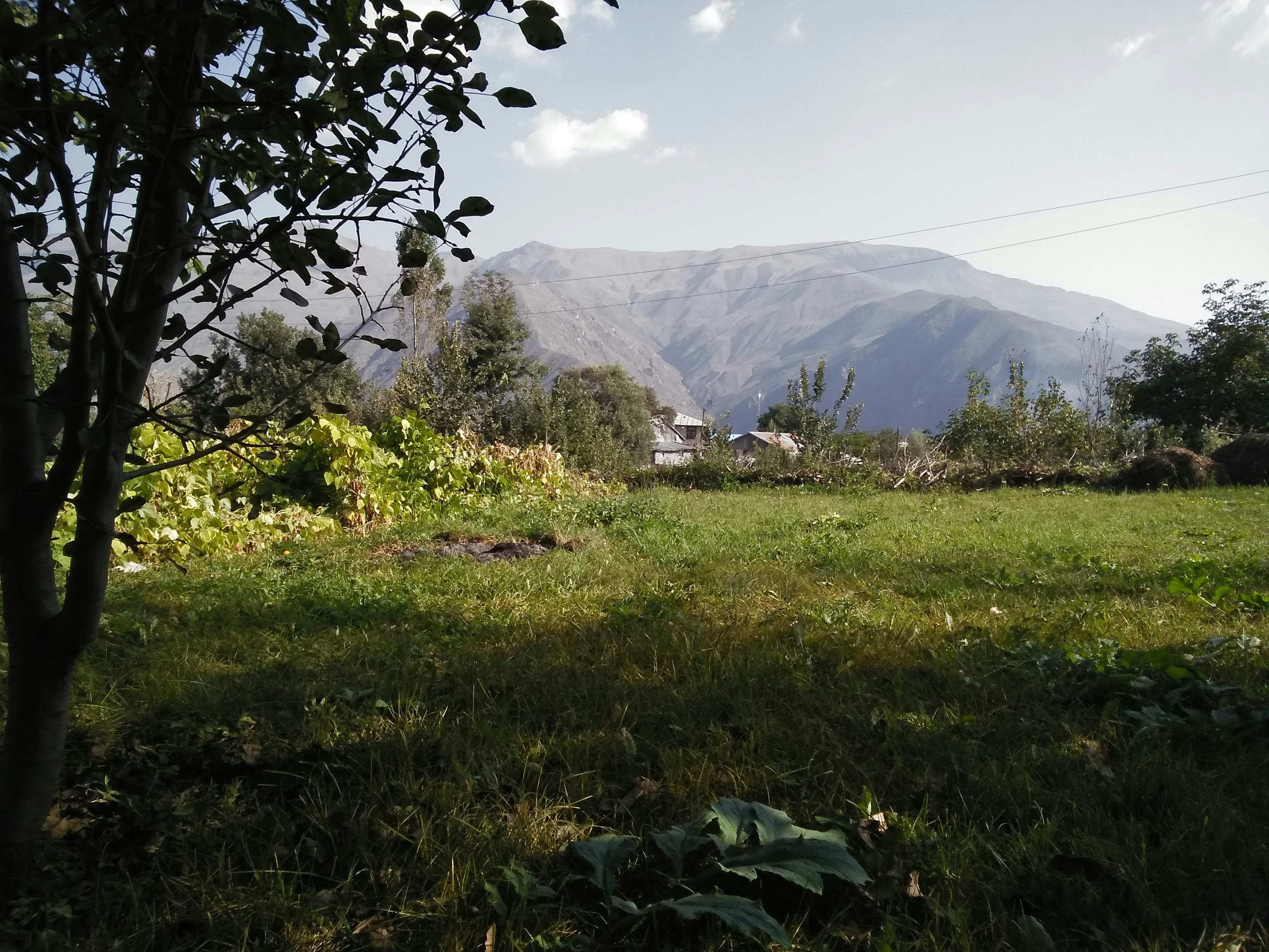 How long does an iva last Bliss Shine