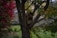 A wooden insect house is nestled in the branches of a tree surrounded by lush green leaves and some turning red, suggesting an autumn setting. The structure has several compartments filled with cut bamboo sticks, providing shelter for insects.