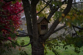 A wooden insect house is nestled in the branches of a tree surrounded by lush green leaves and some turning red, suggesting an autumn setting. The structure has several compartments filled with cut bamboo sticks, providing shelter for insects.