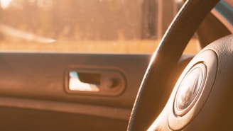 A close-up of a hand gently resting on a steering wheel, sunlight filtering through palm leaves.