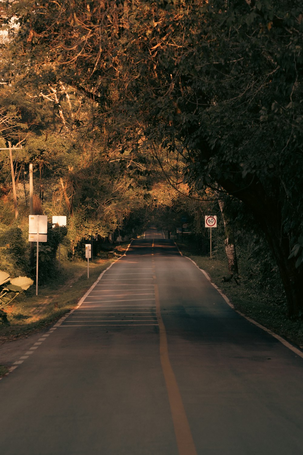 an empty road with trees on both sides