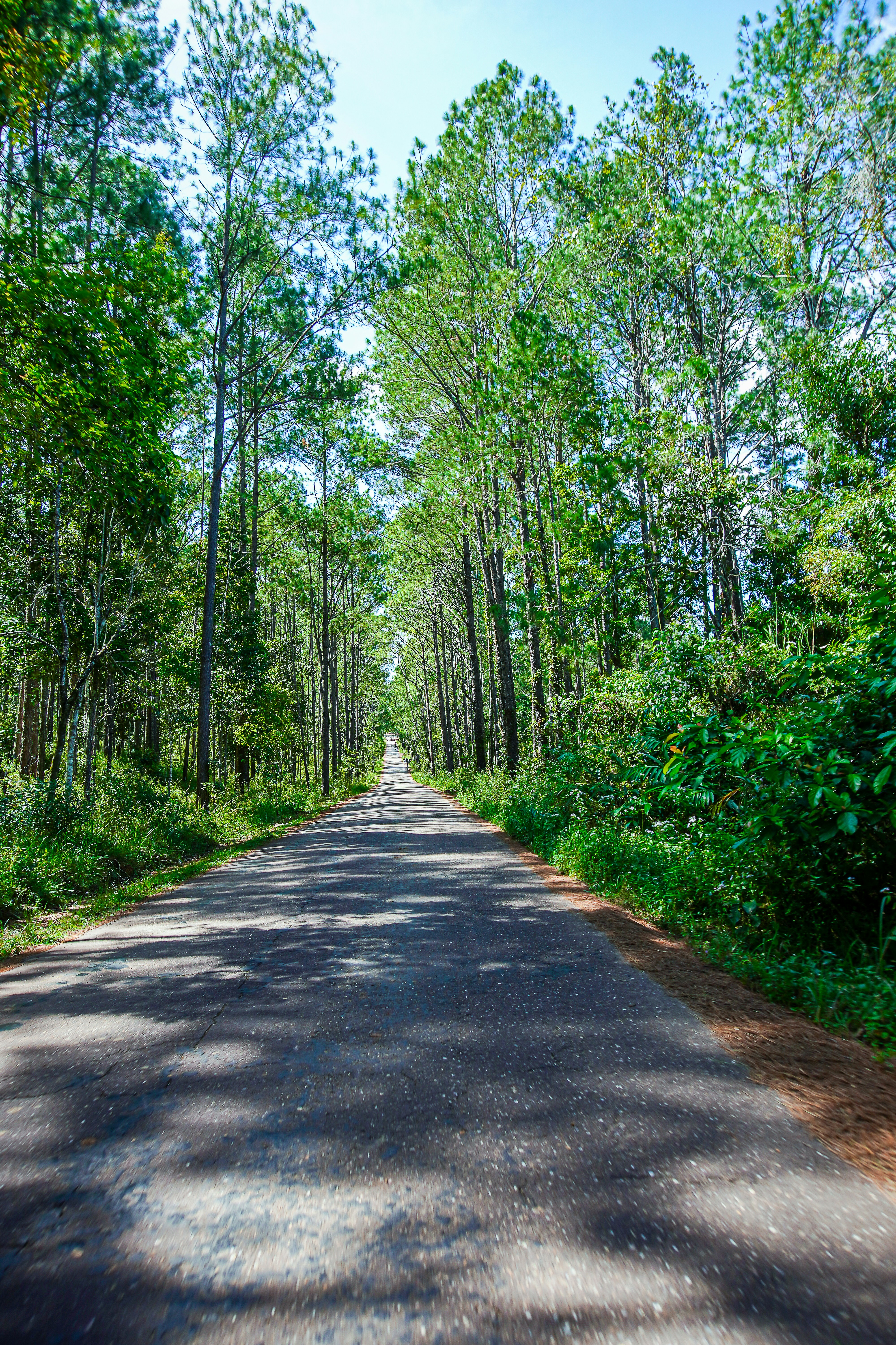 Photo by kunchhunheang