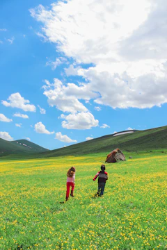 Children running through a sun-dappled field with terracotta wildflowers around.