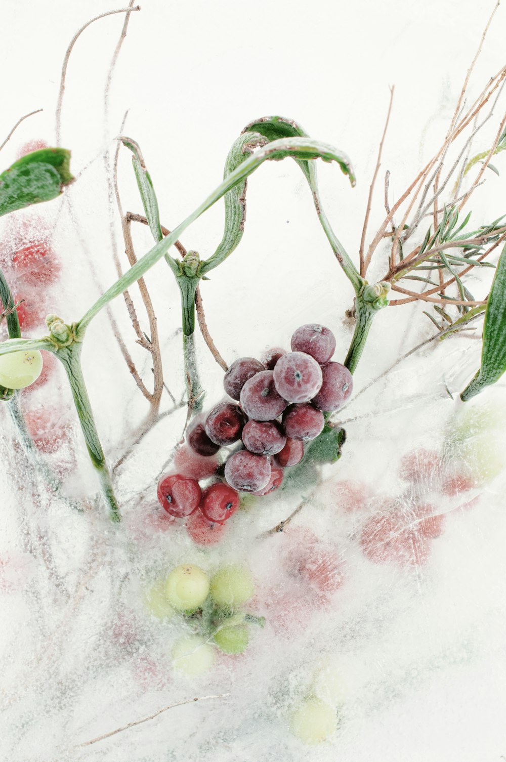 a bunch of berries sitting on top of a snow covered ground