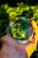a person holding a glass ball in their hand
