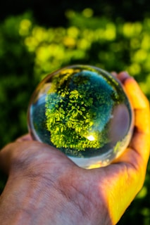 a person holding a glass ball in their hand