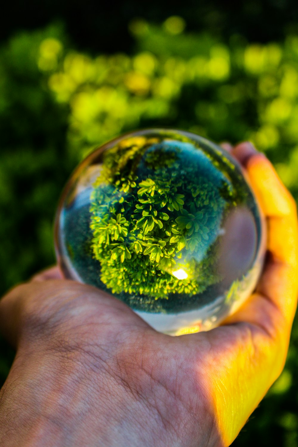 a person holding a glass ball in their hand