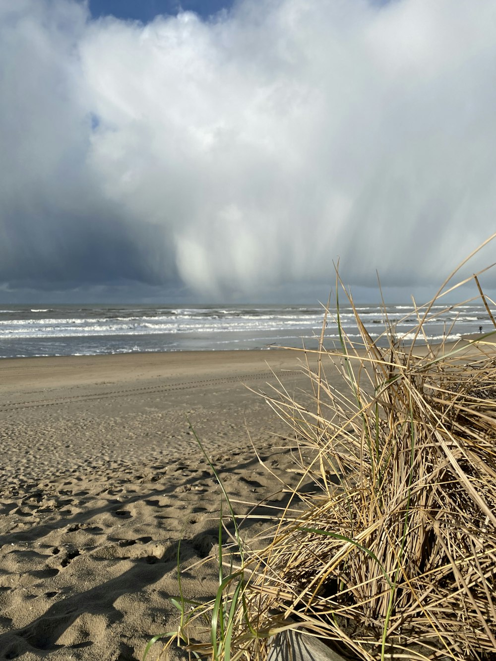 a view of a beach with waves coming in from the ocean