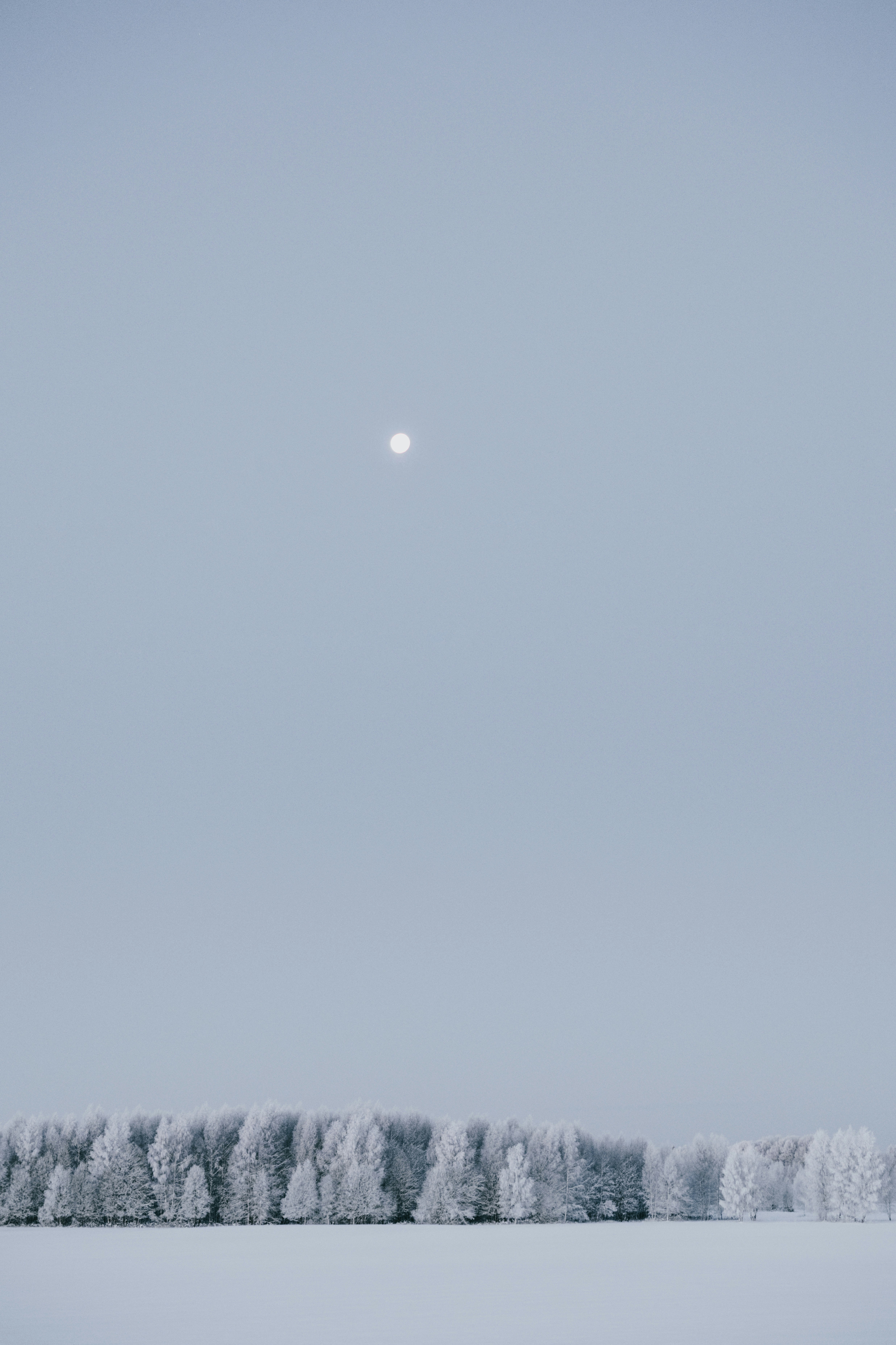 Photo by anitaaustvika