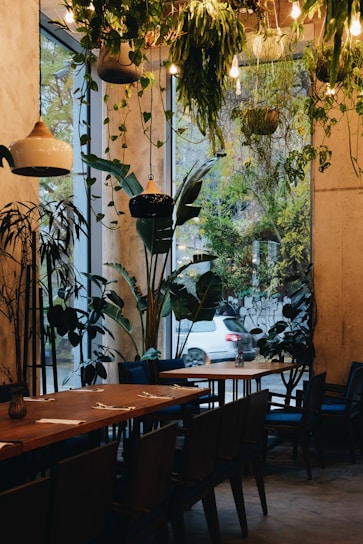 A cozy cafe interior with wooden tables, green plants, and fresh salad bowls on display.