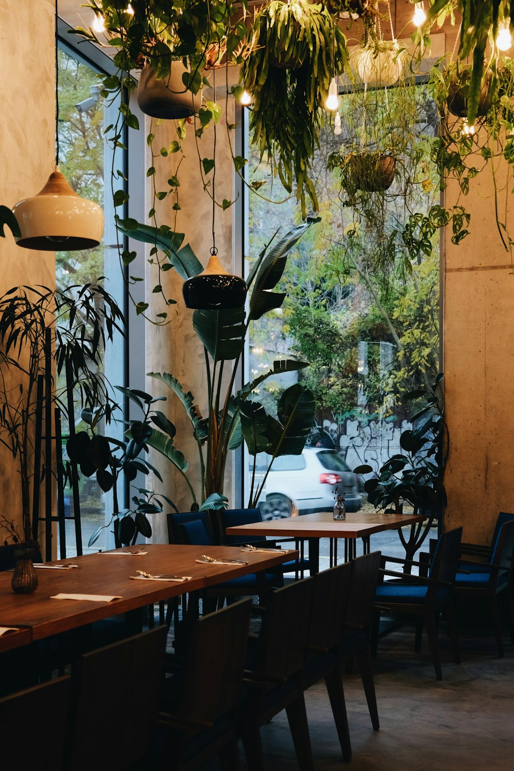 a restaurant with plants hanging from the ceiling