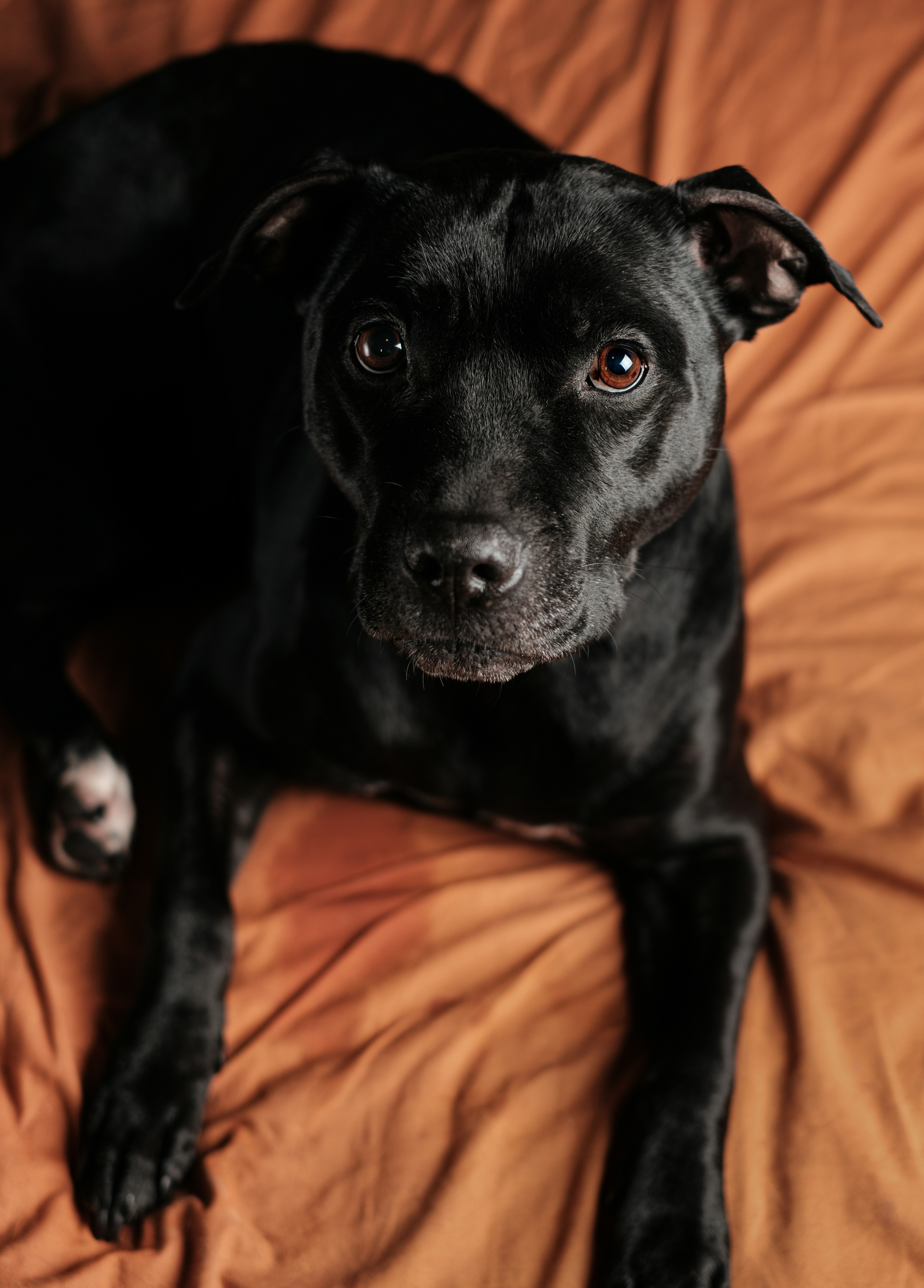 Photo by victor_vector