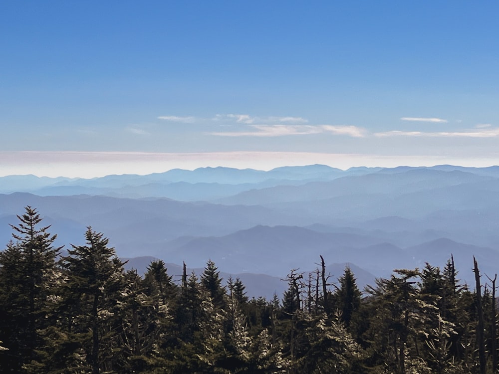 a view of a mountain range with trees in the foreground