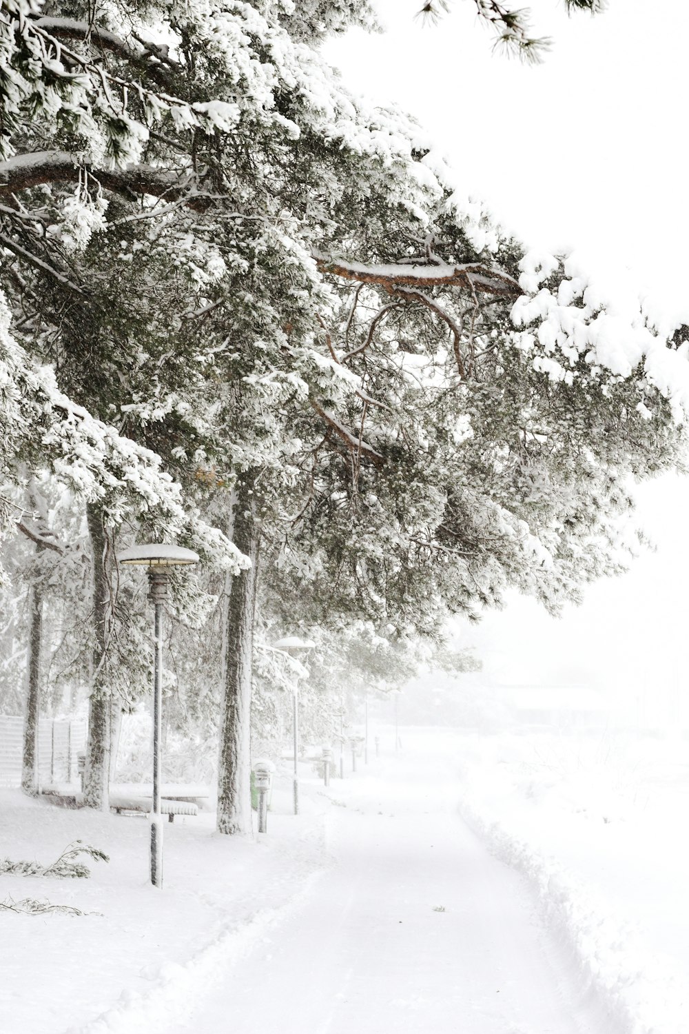 a snowy path with a street light and trees