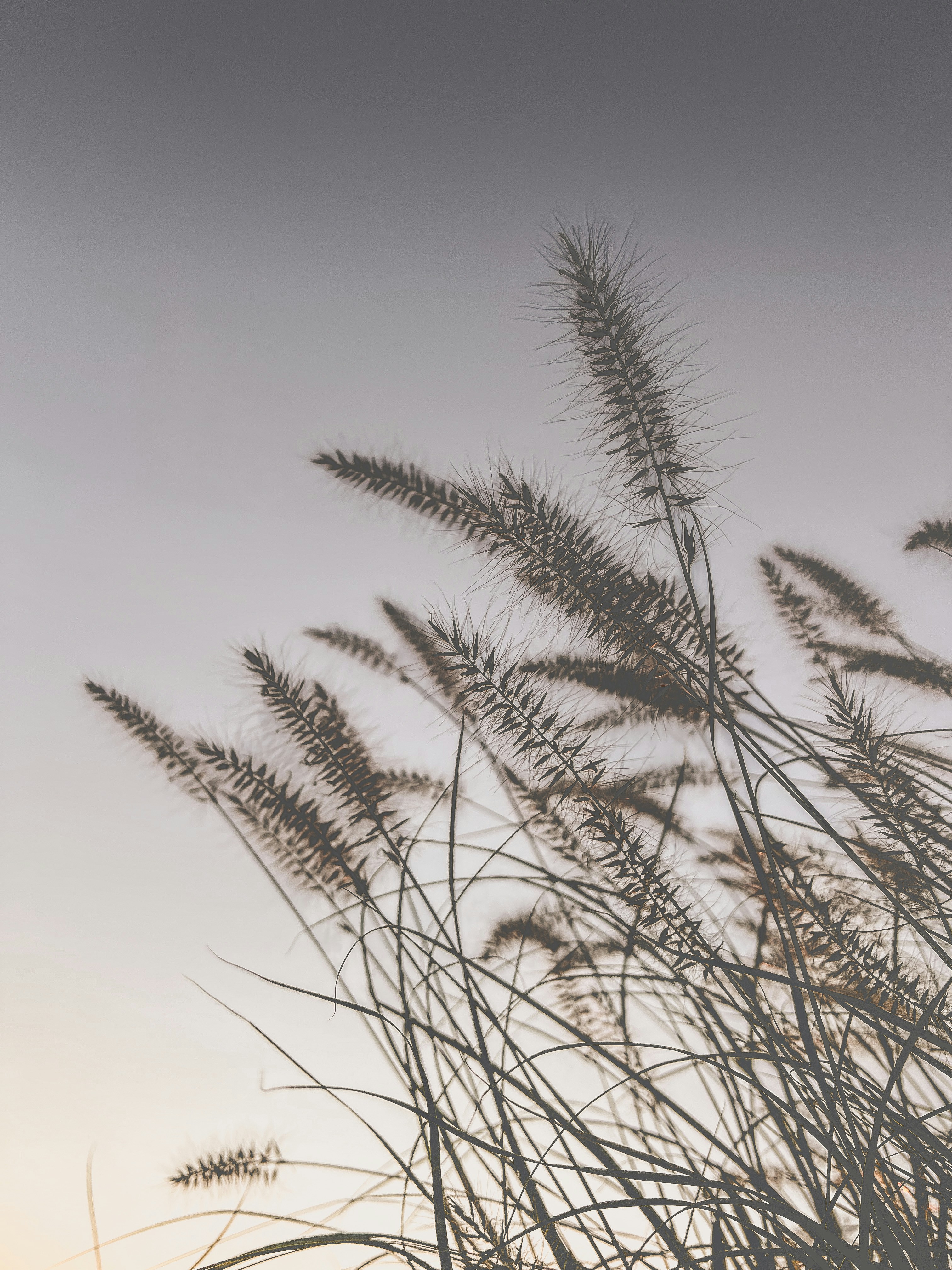 Photo by traviswyatt