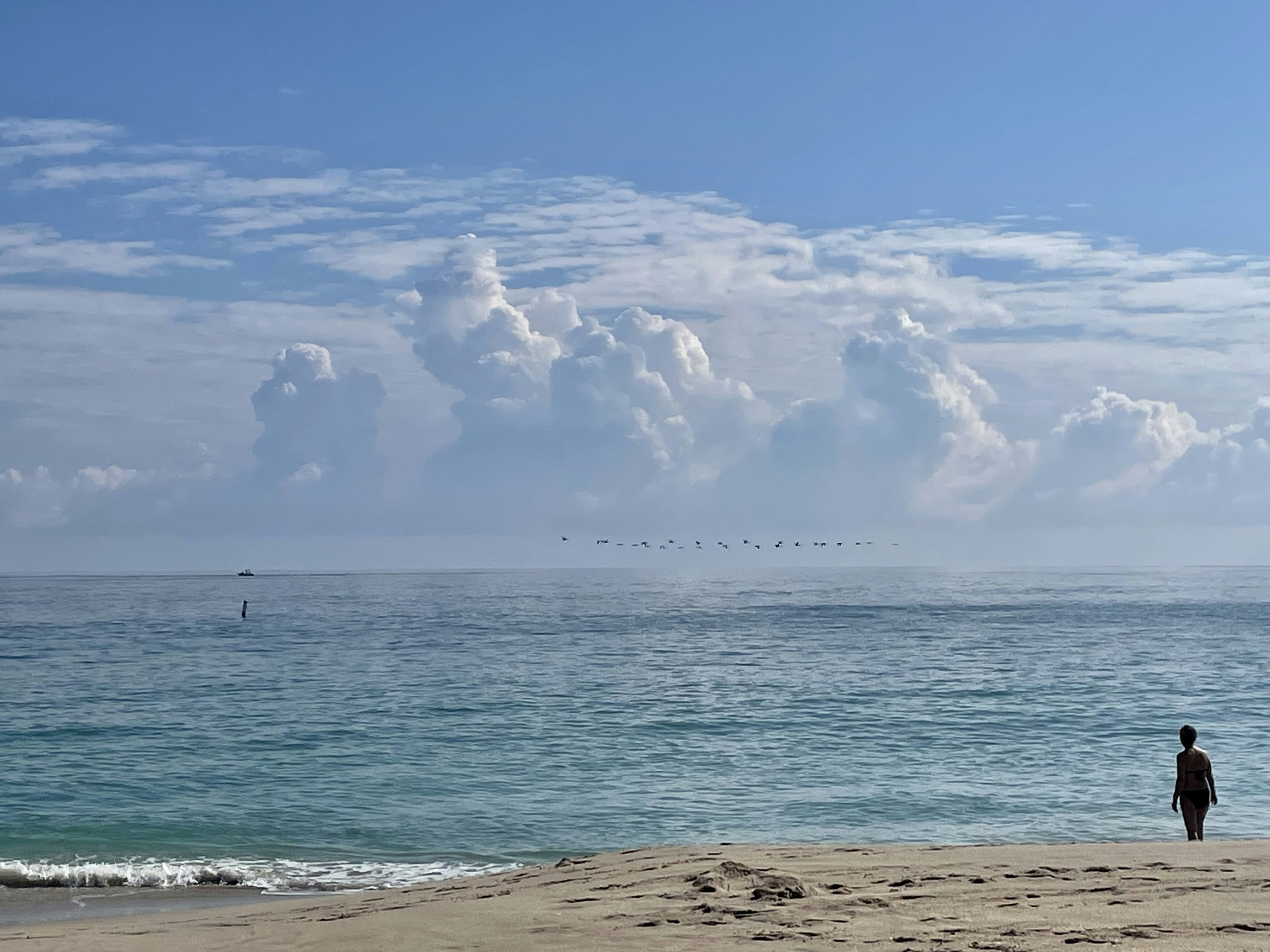 Eine Person, die an einem Strand am Meer steht