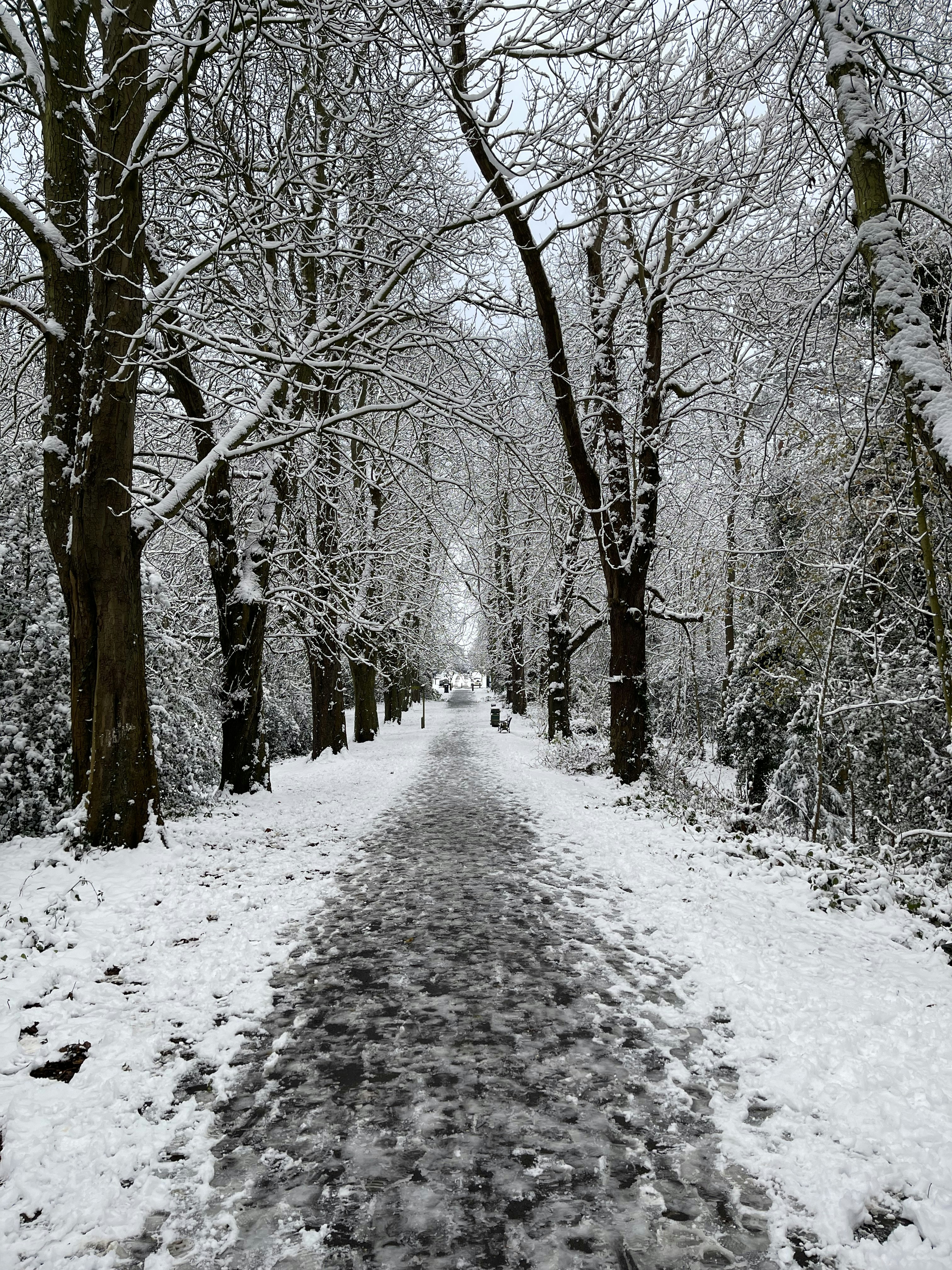 Photo by shahrzad_sh