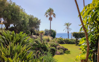 a lush green field with palm trees and a body of water in the background
