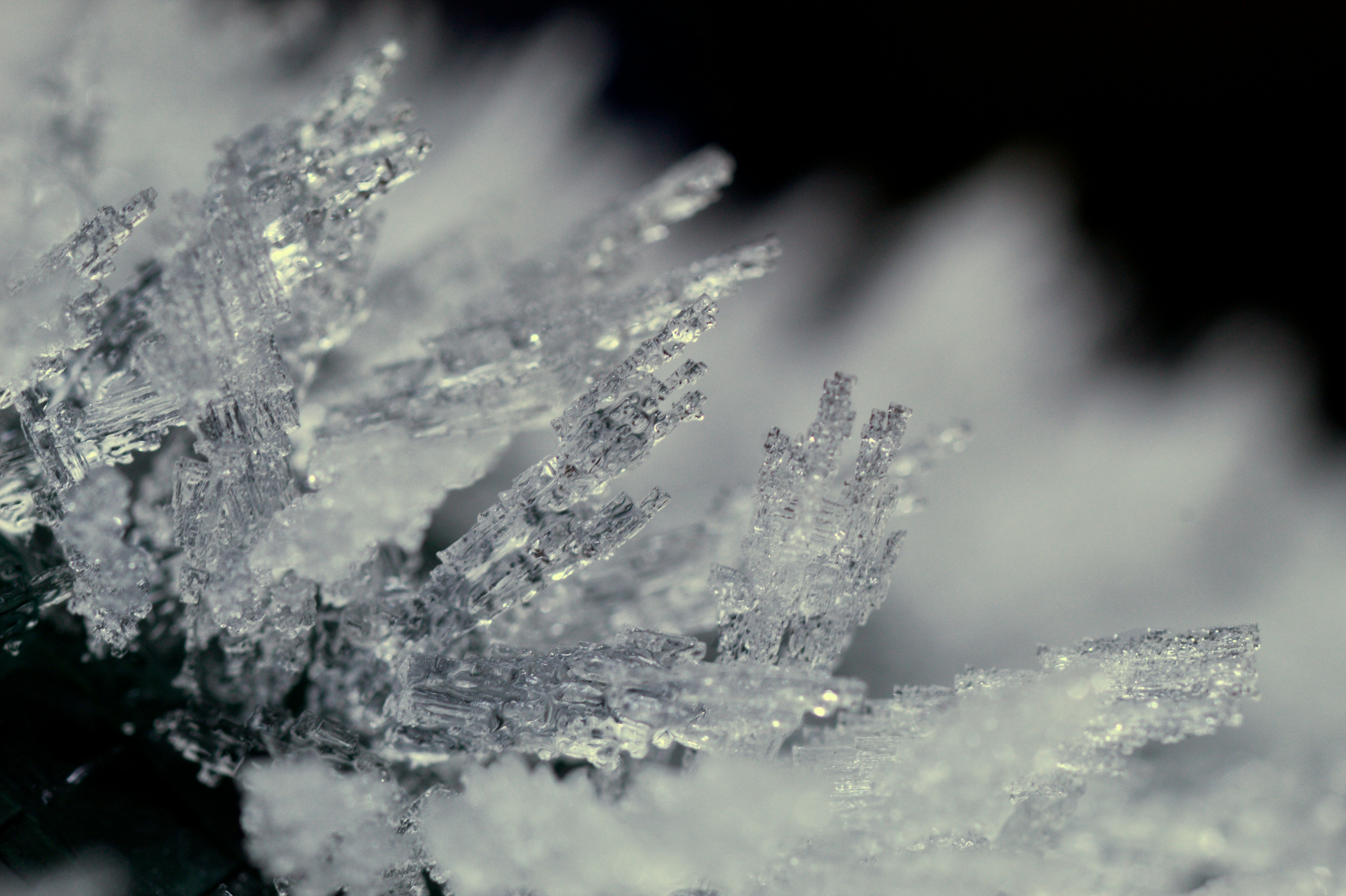 Photo by fidgetingferdie