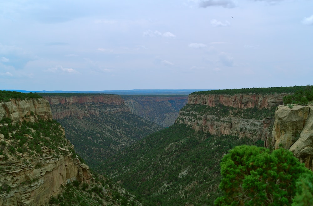 a view of a canyon from a high point of view