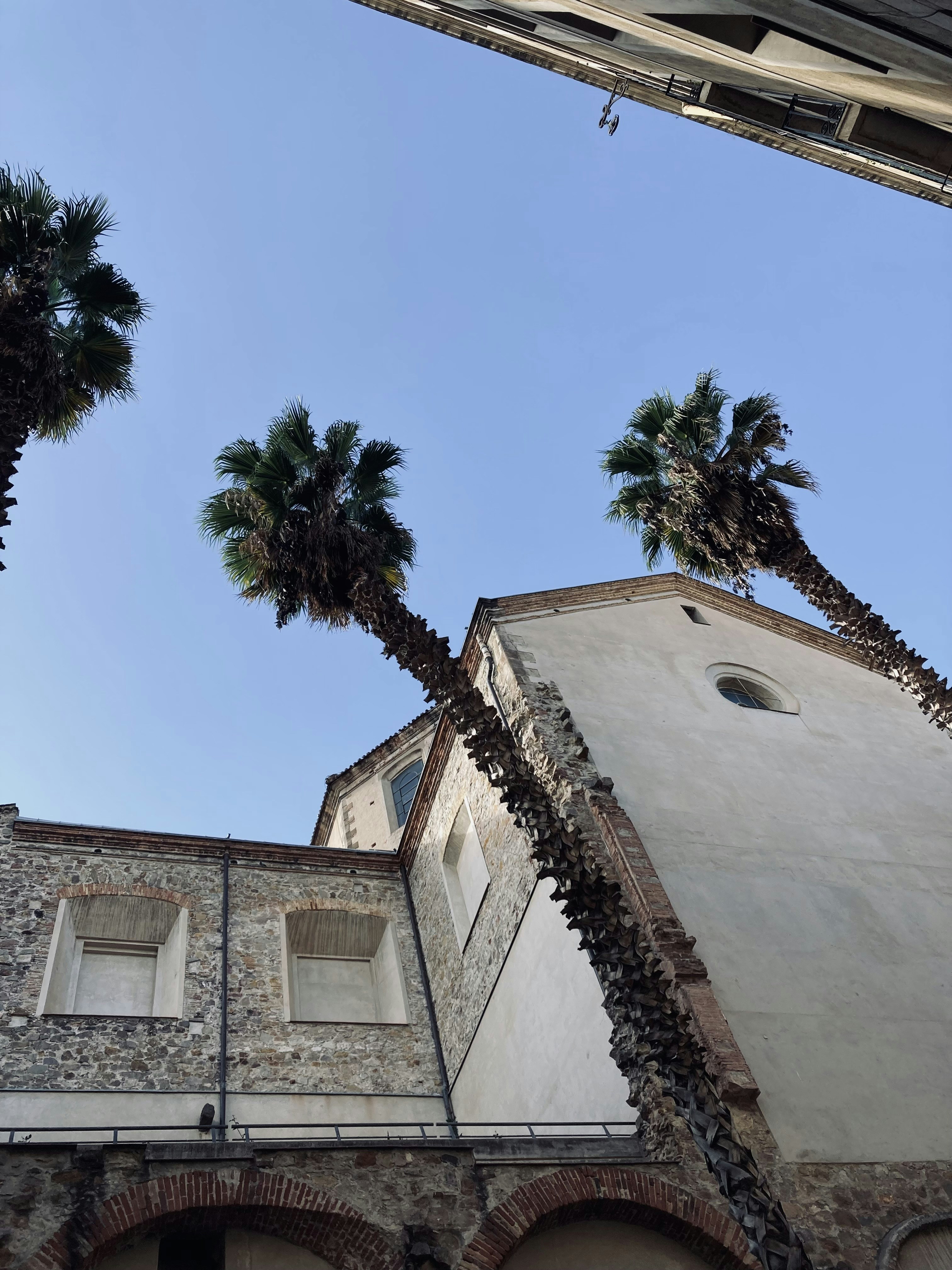 Photo by raysequeira