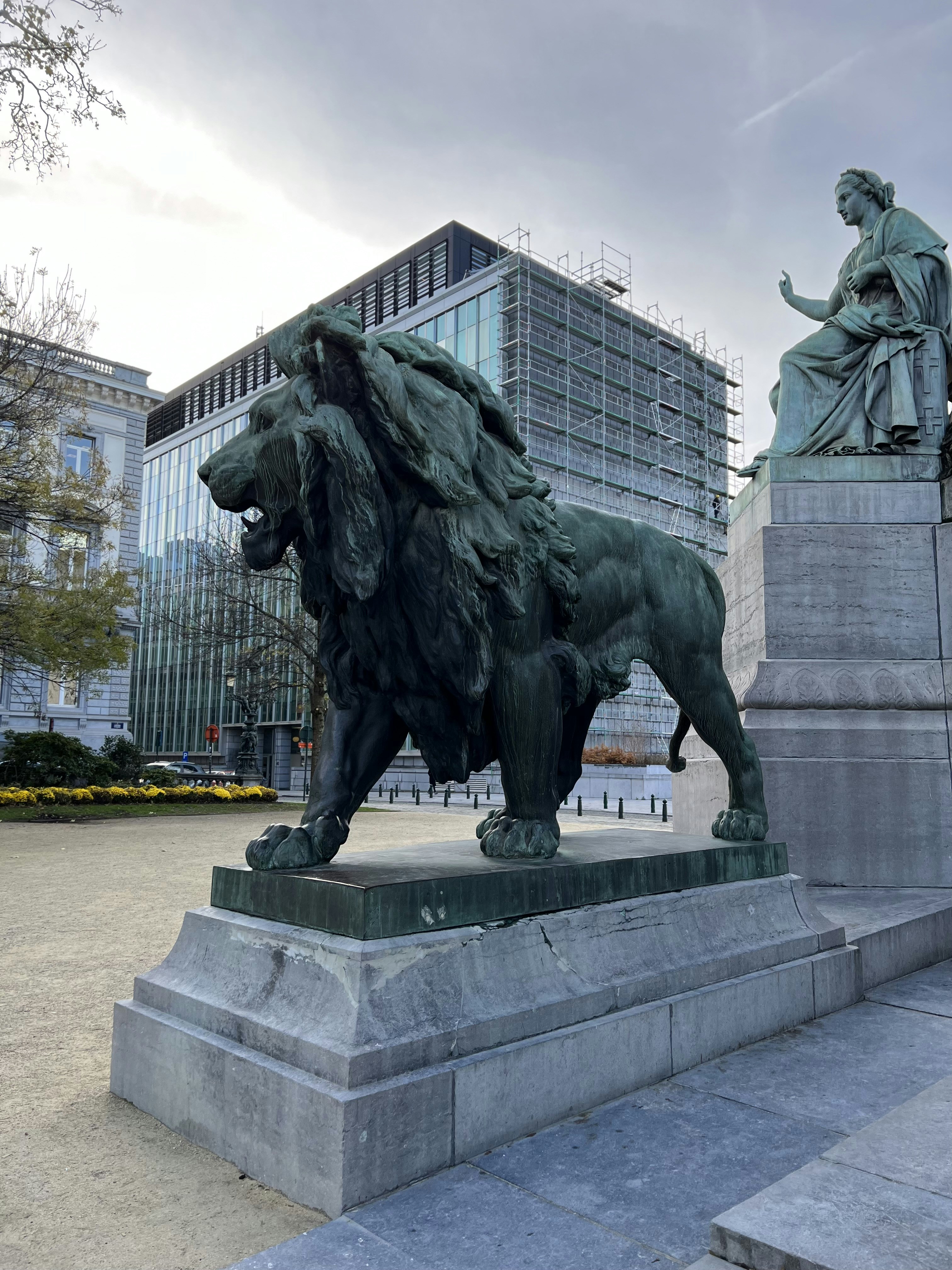 Majestic lion