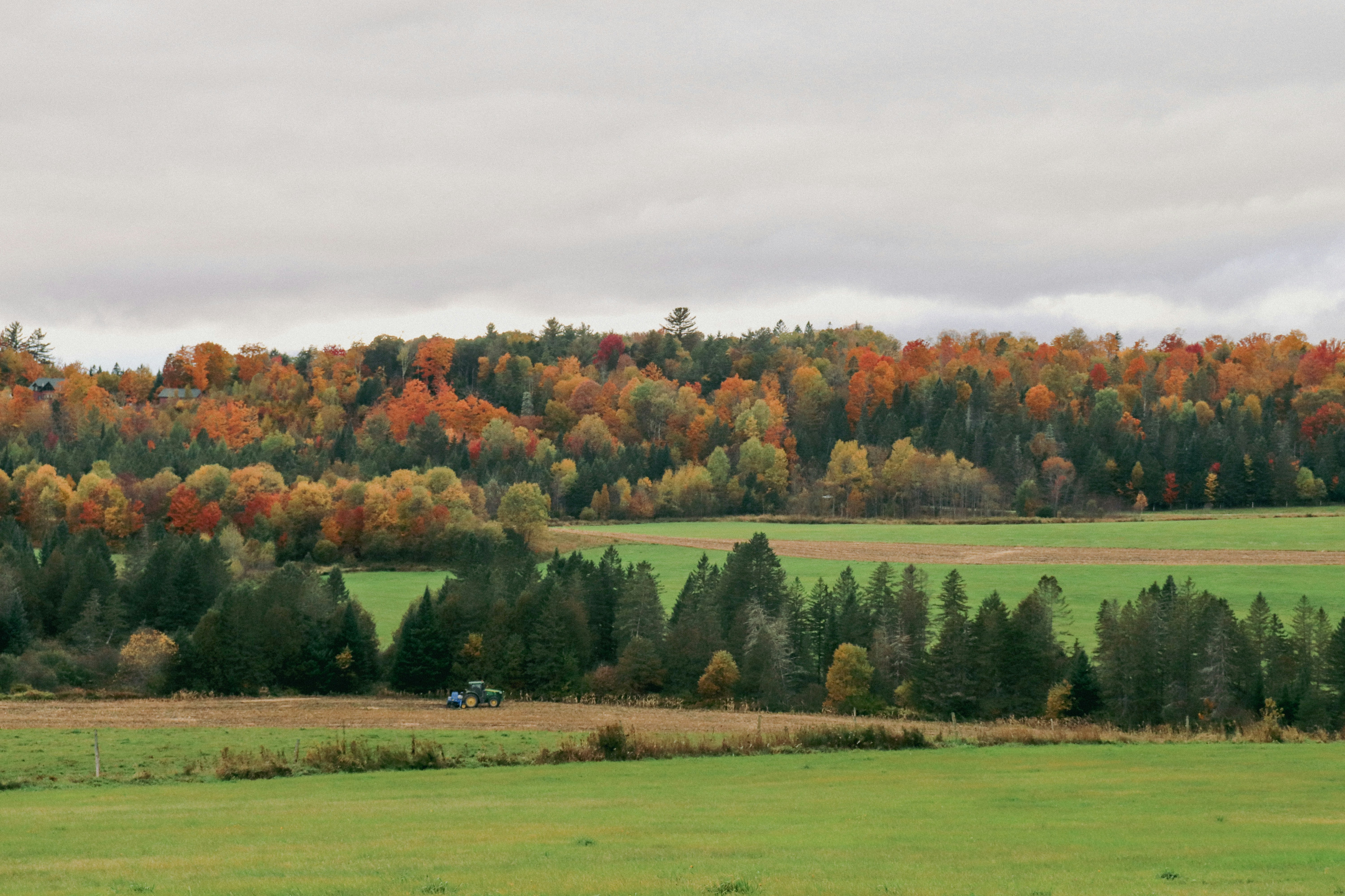 Photo by giulicanderle