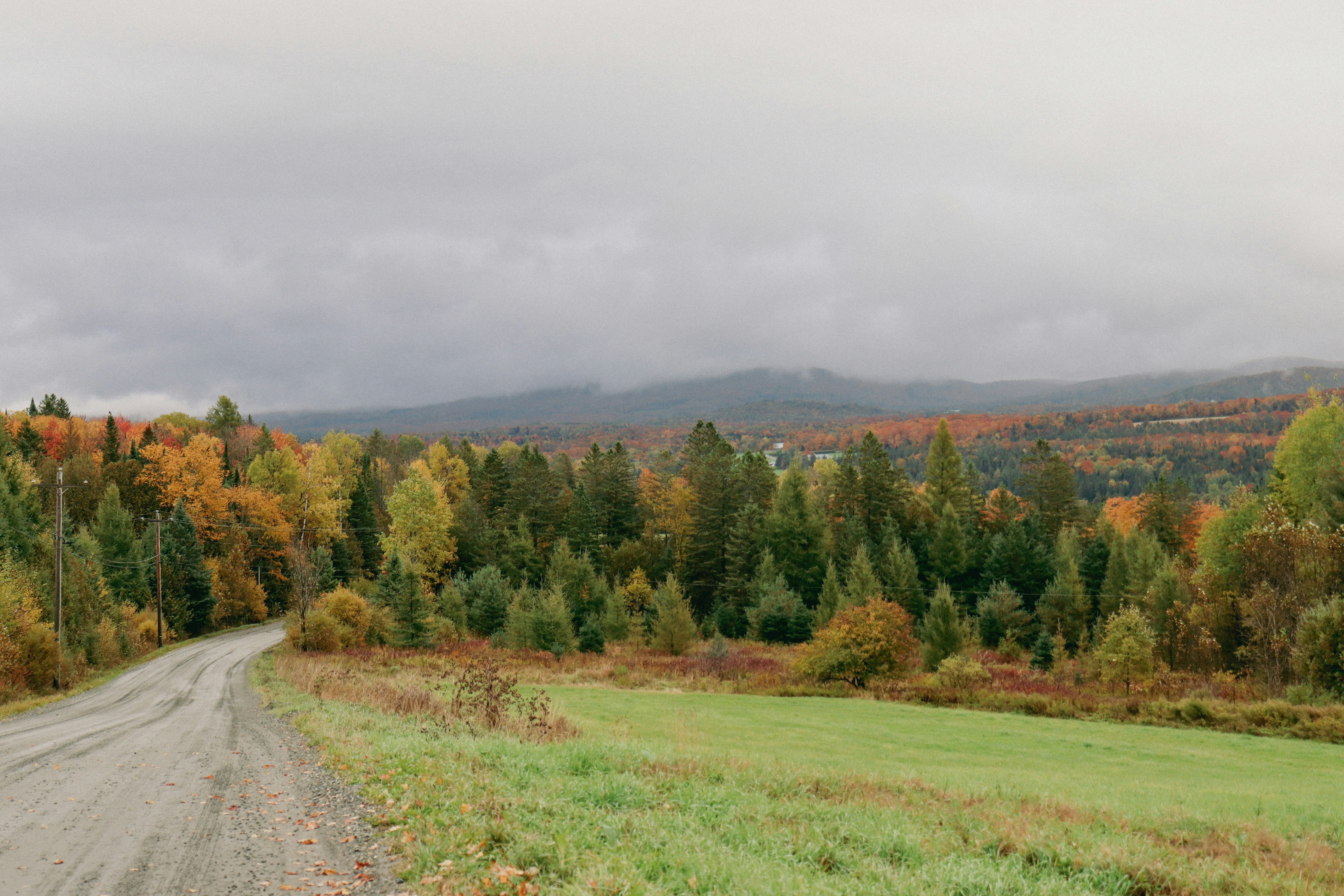 Photo by giulicanderle