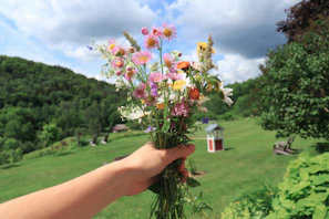 A joyful traveler holding a bouquet of wildflowers, smiling against a backdrop of rolling hills.