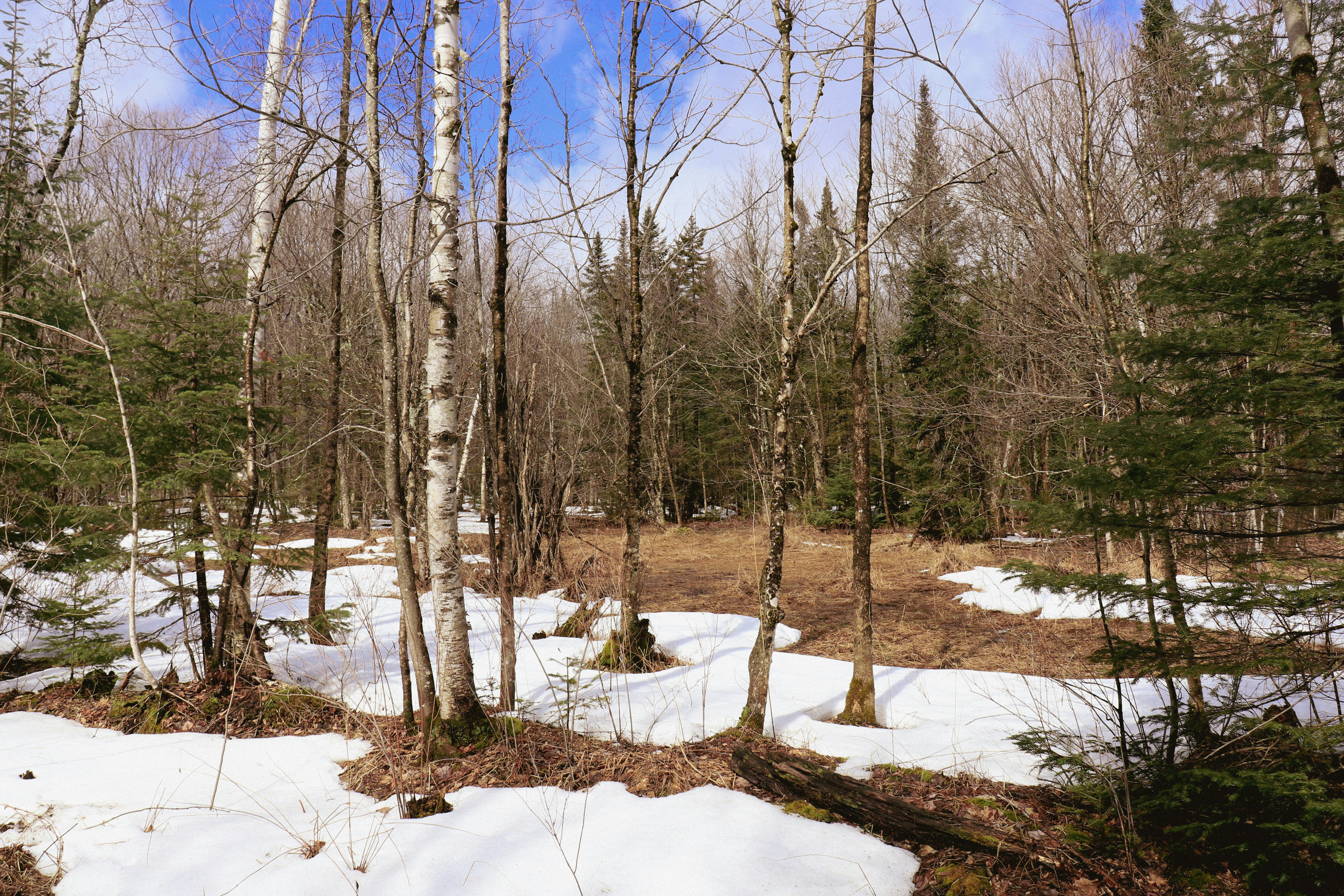 Photo by giulicanderle