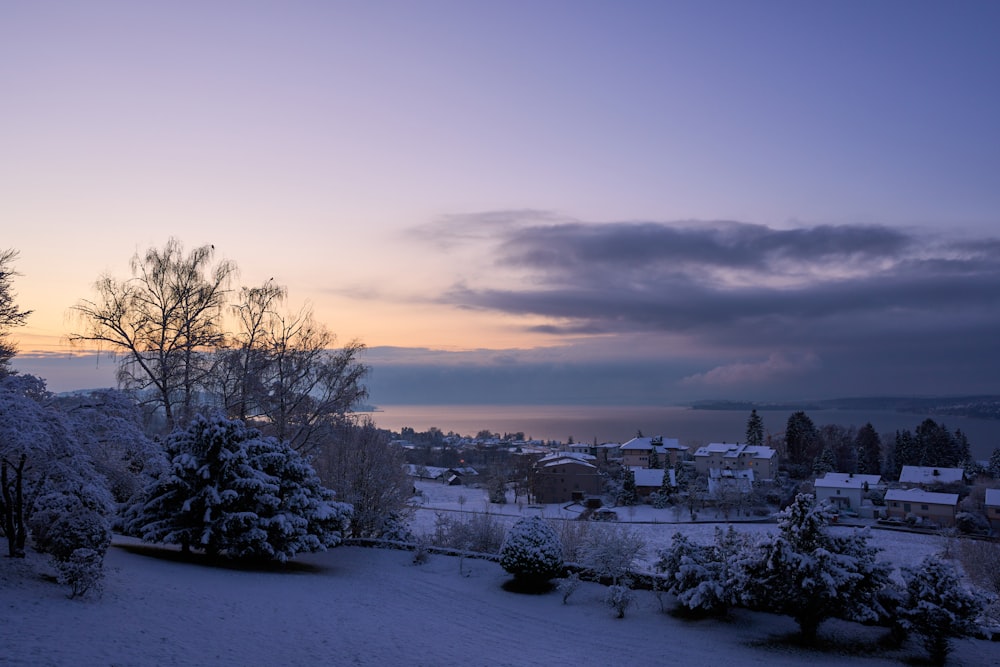 a snowy landscape with trees and buildings in the background