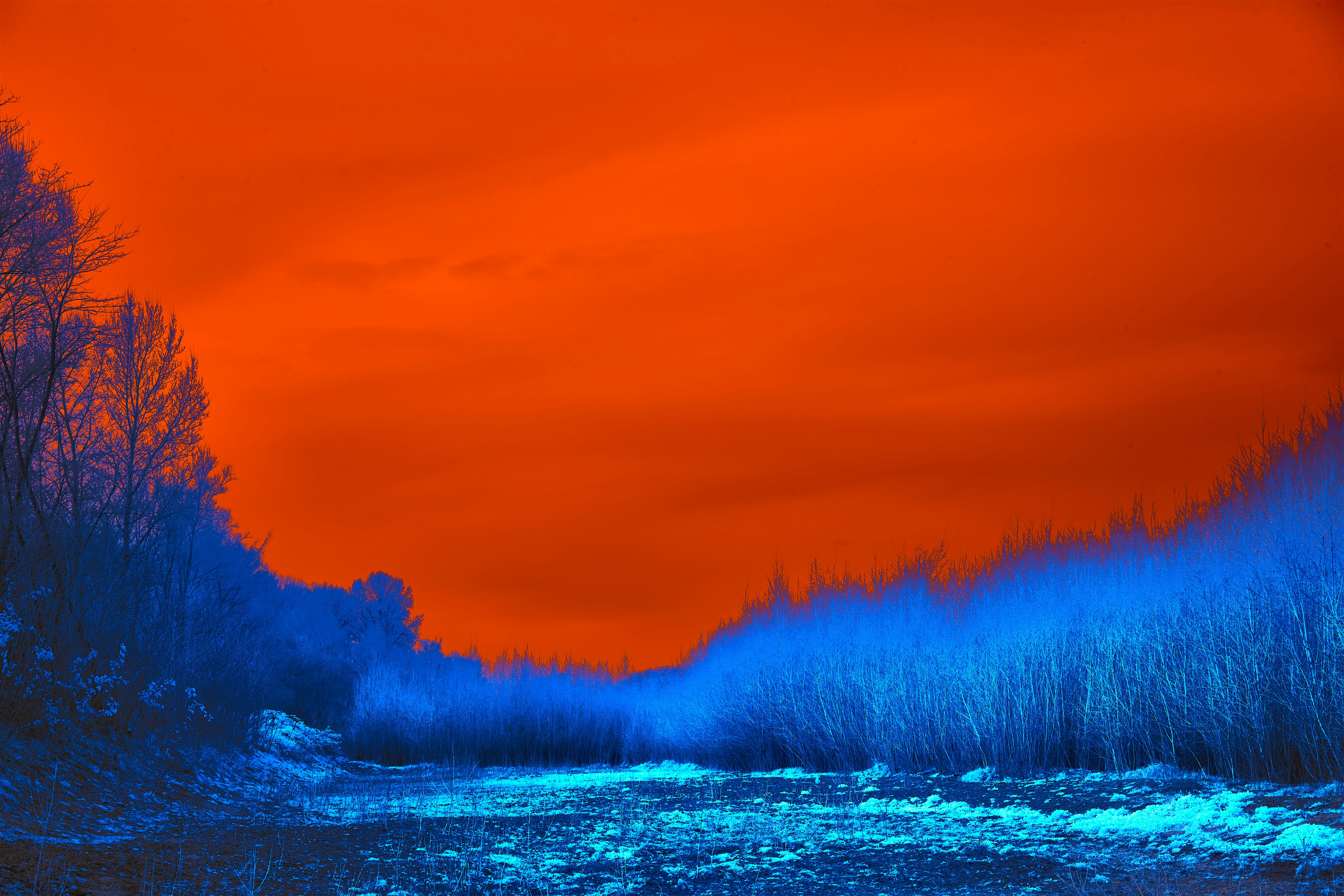 Photo by wolfgang_hasselmann