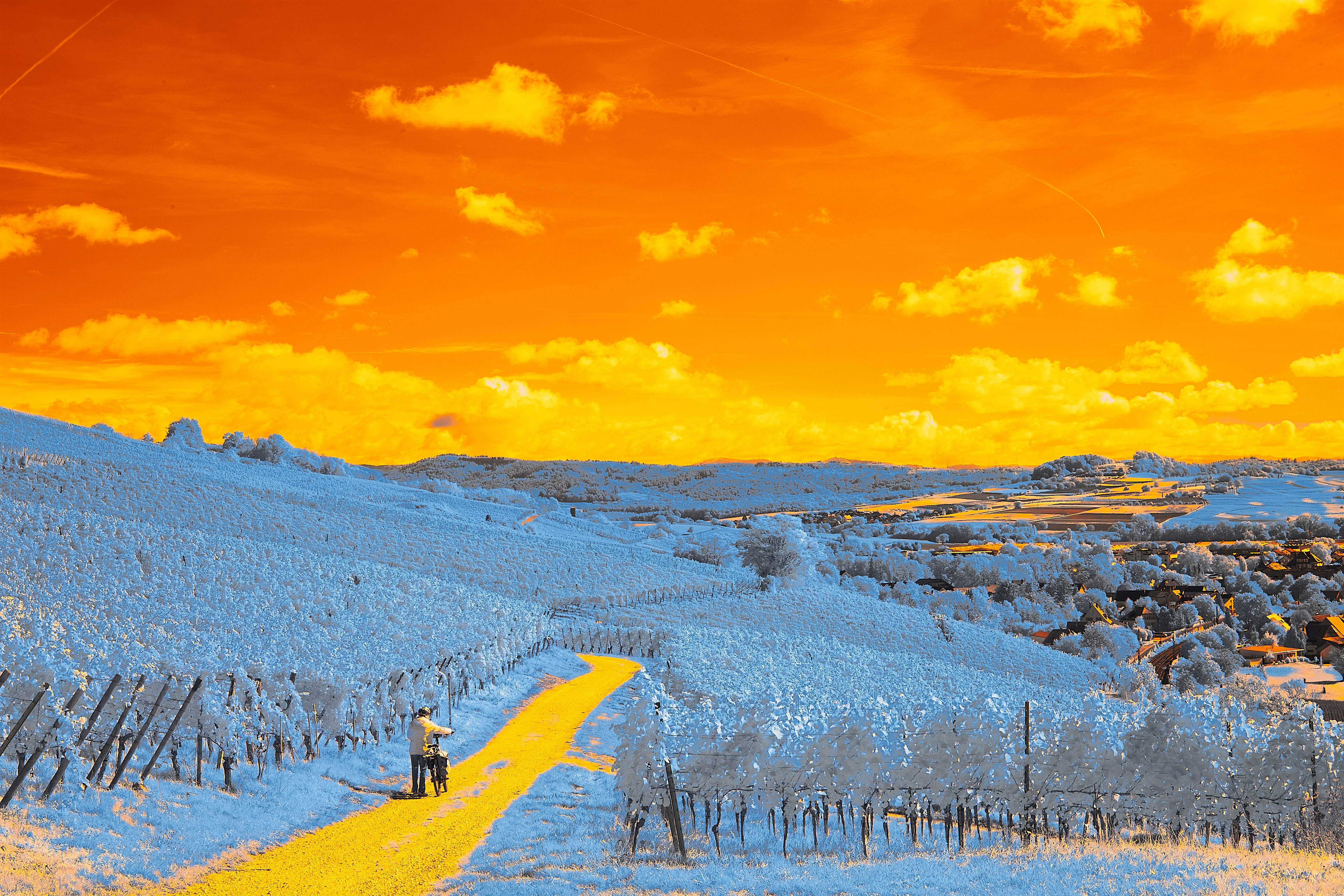 Image by Wolfgang Hasselmann via Unsplash