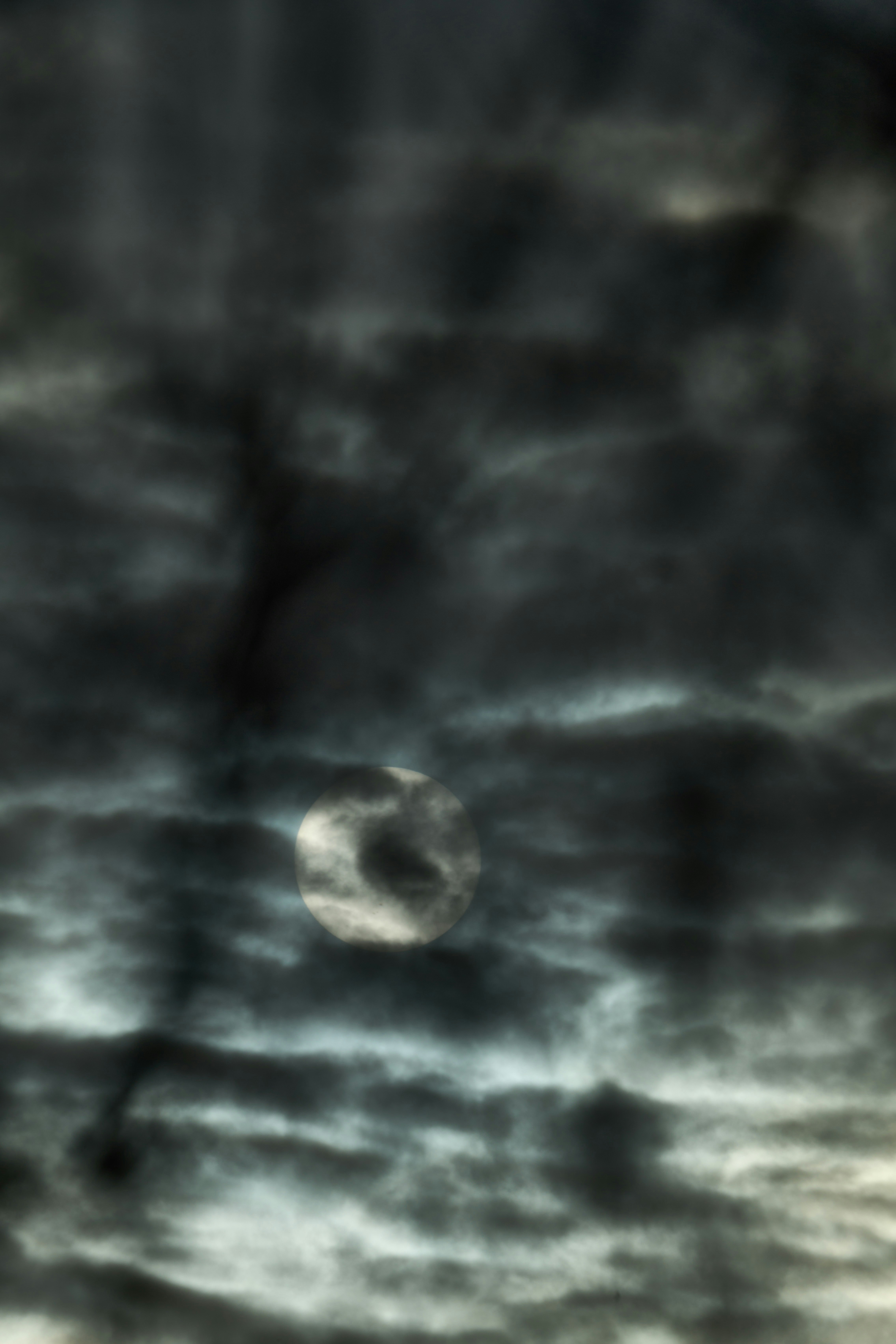 Photo by wolfgang_hasselmann