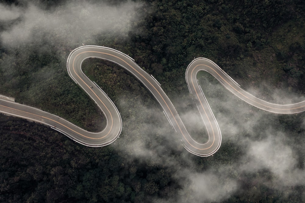 a winding road in the middle of a forest